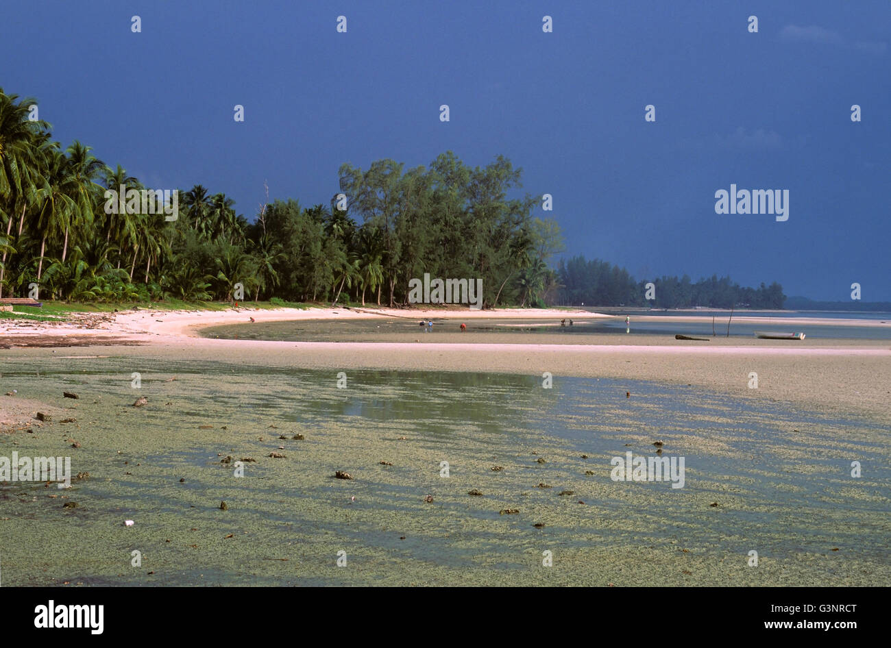 Ebbe in Nathon Beach, Ko Samui Island, Thailand, Asien Stockfoto