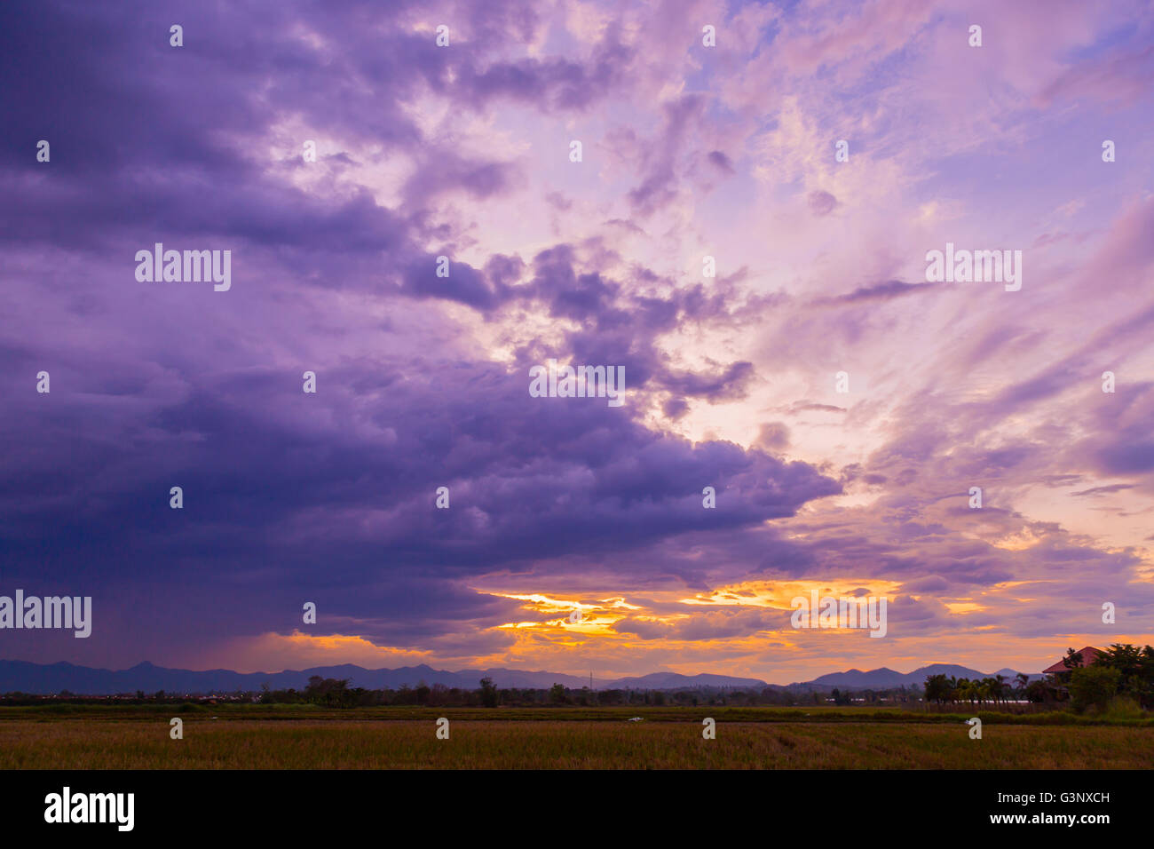 Bauernhof Feld Wiese und dramatische Wolken Sonnenuntergang in Thailand anzeigen Stockfoto