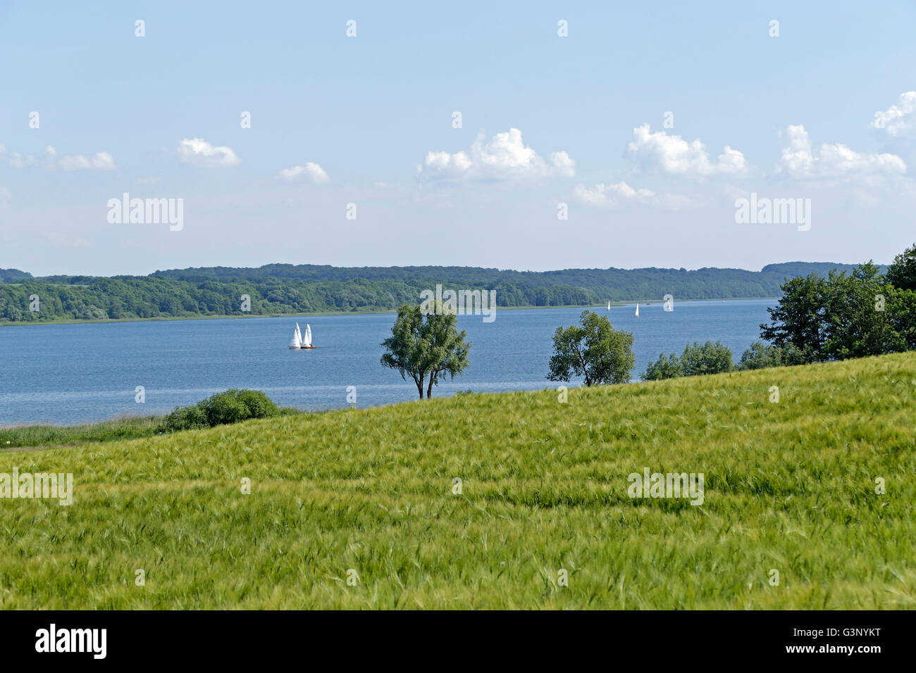 Ratzeburger See, Gross Sarau, Schleswig-Holstein, Deutschland Stockfoto