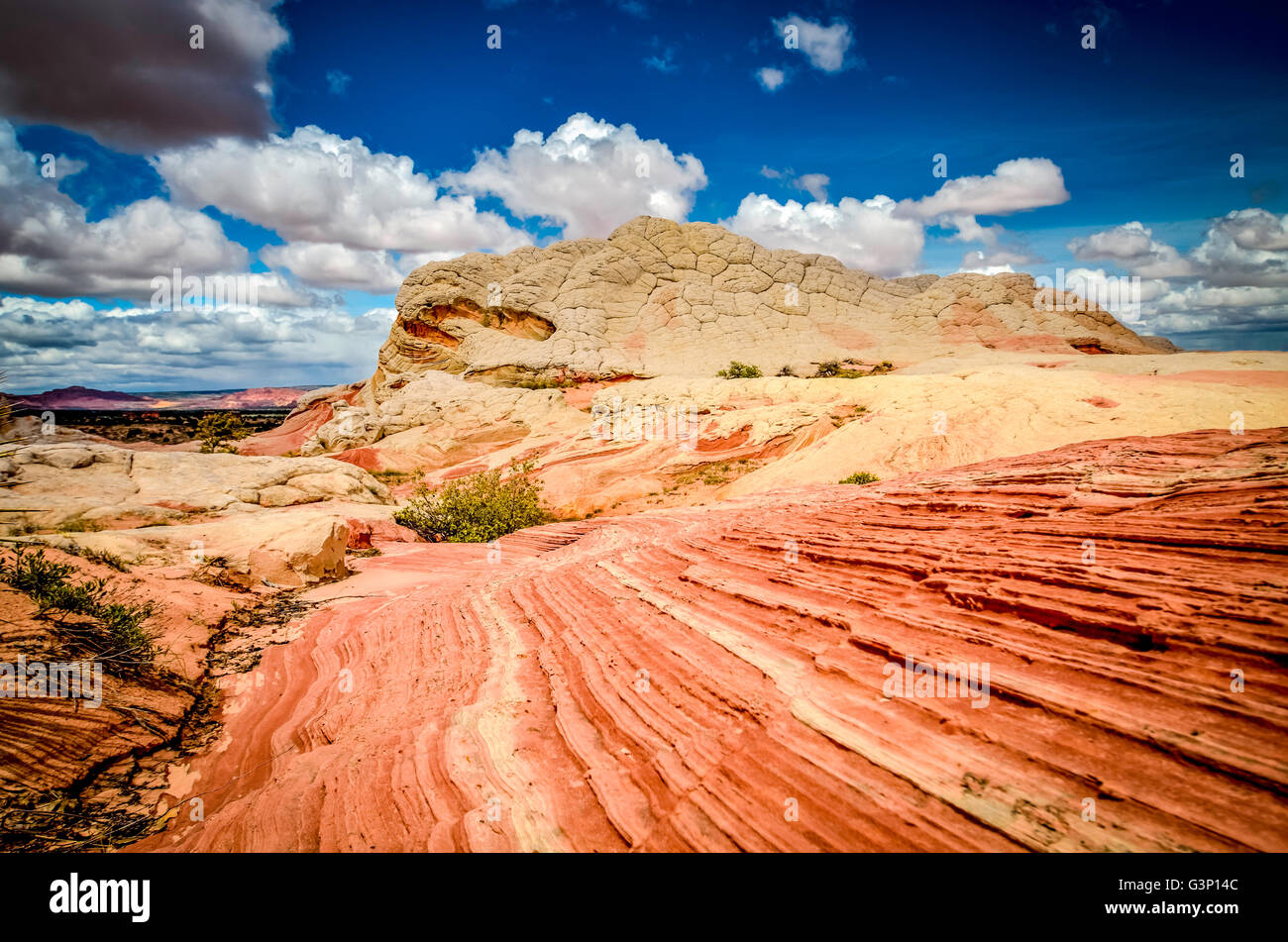 Erstaunliche Landschaften - White Pocket-Arizona Stockfoto