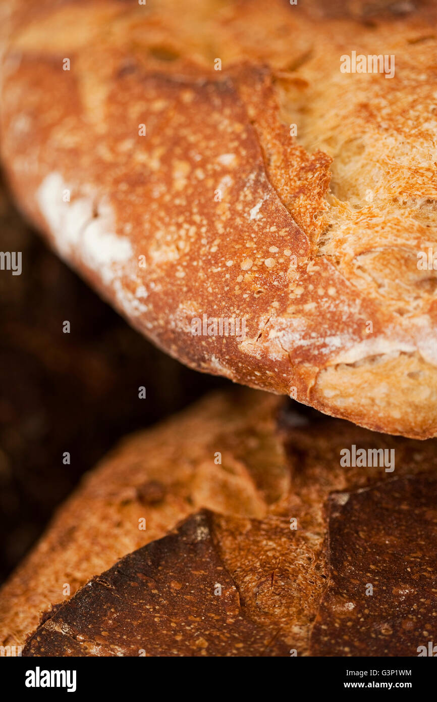 Nahaufnahme von zwei knusprige Brot in einer Bäckerei Stockfoto