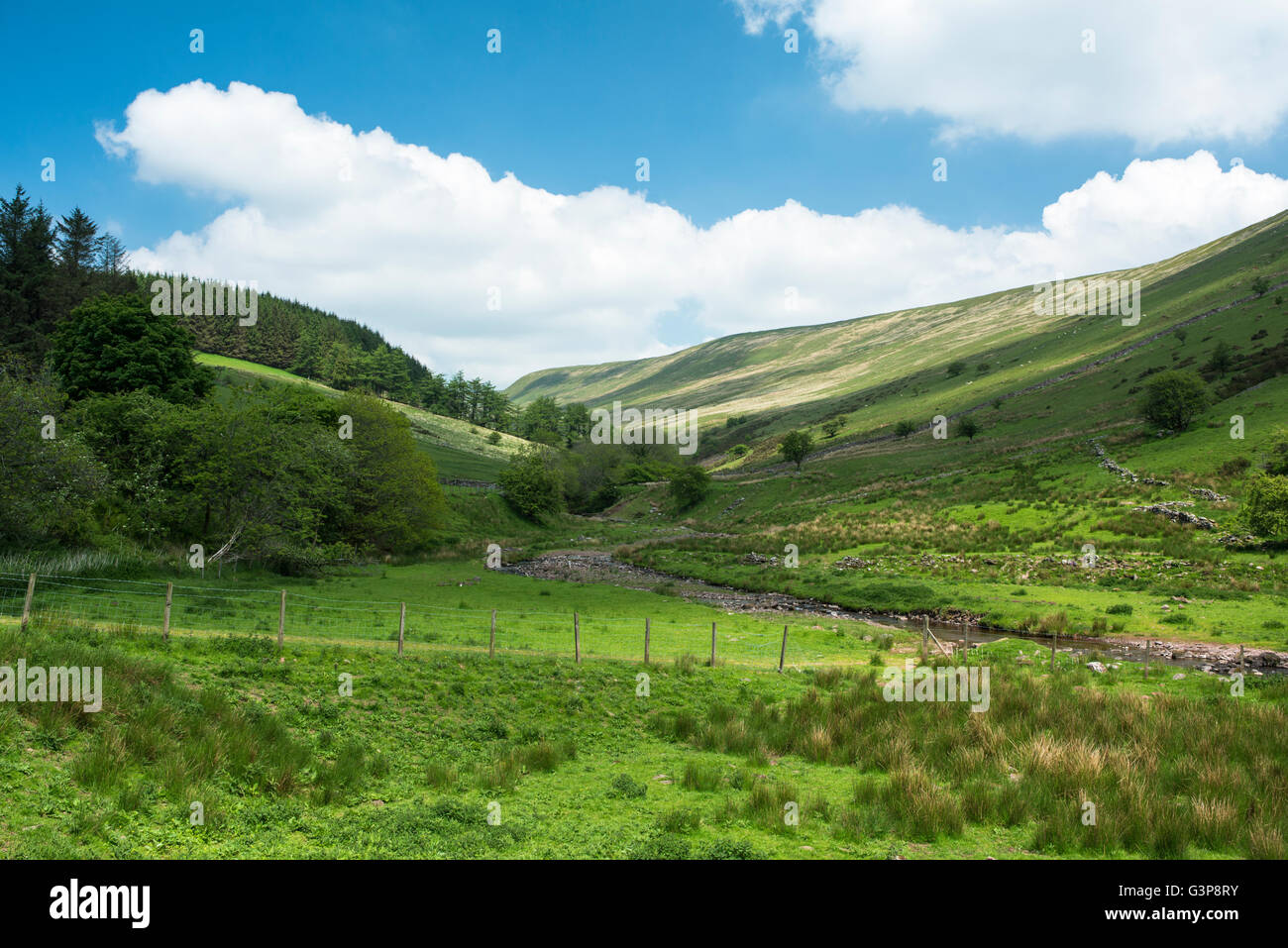 Ein Strom fließt durch einen steilen einseitige Tal o ein Sommertag. Stockfoto