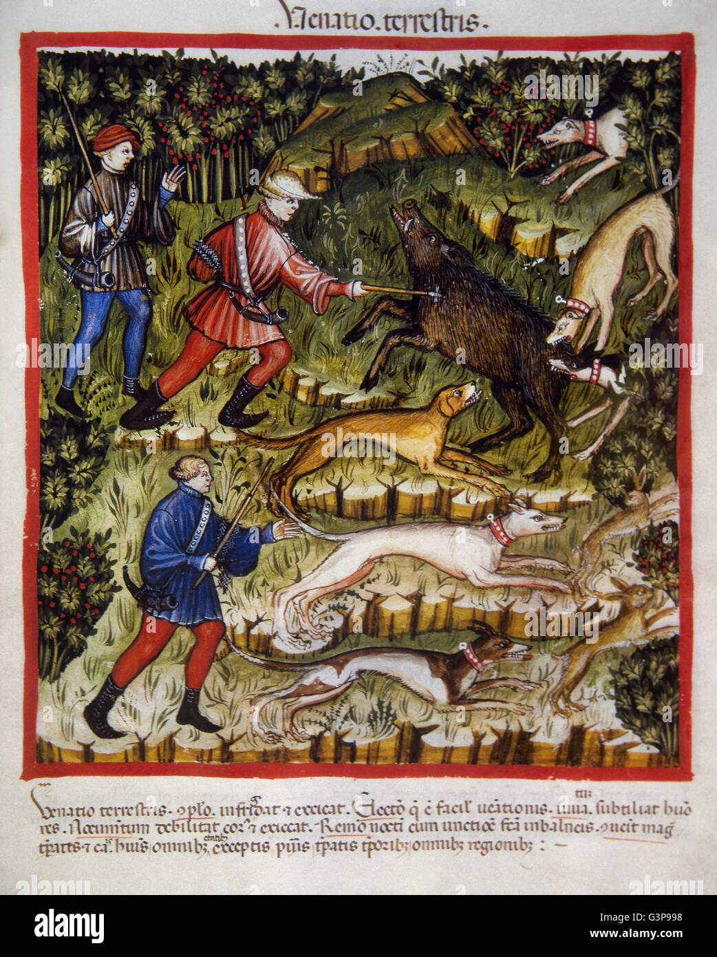 Tacuinum Sanitatis. 14. Jahrhundert. Mittelalterliche Handbuch der Gesundheit. Wildschweinjagd. Folio 96r. Stockfoto
