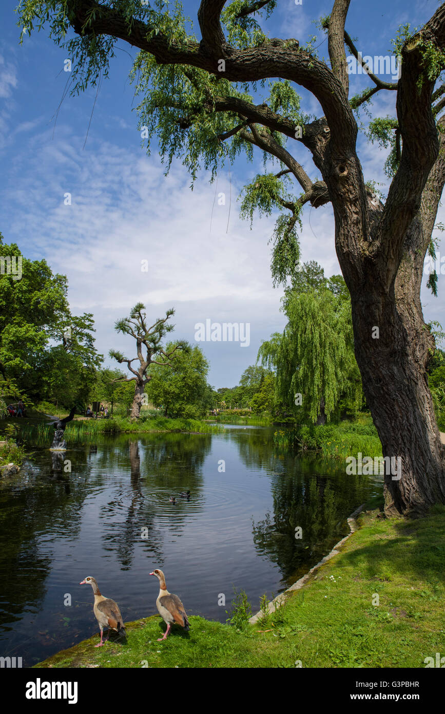 Ein Blick auf das schöne Regents Park in London. Stockfoto