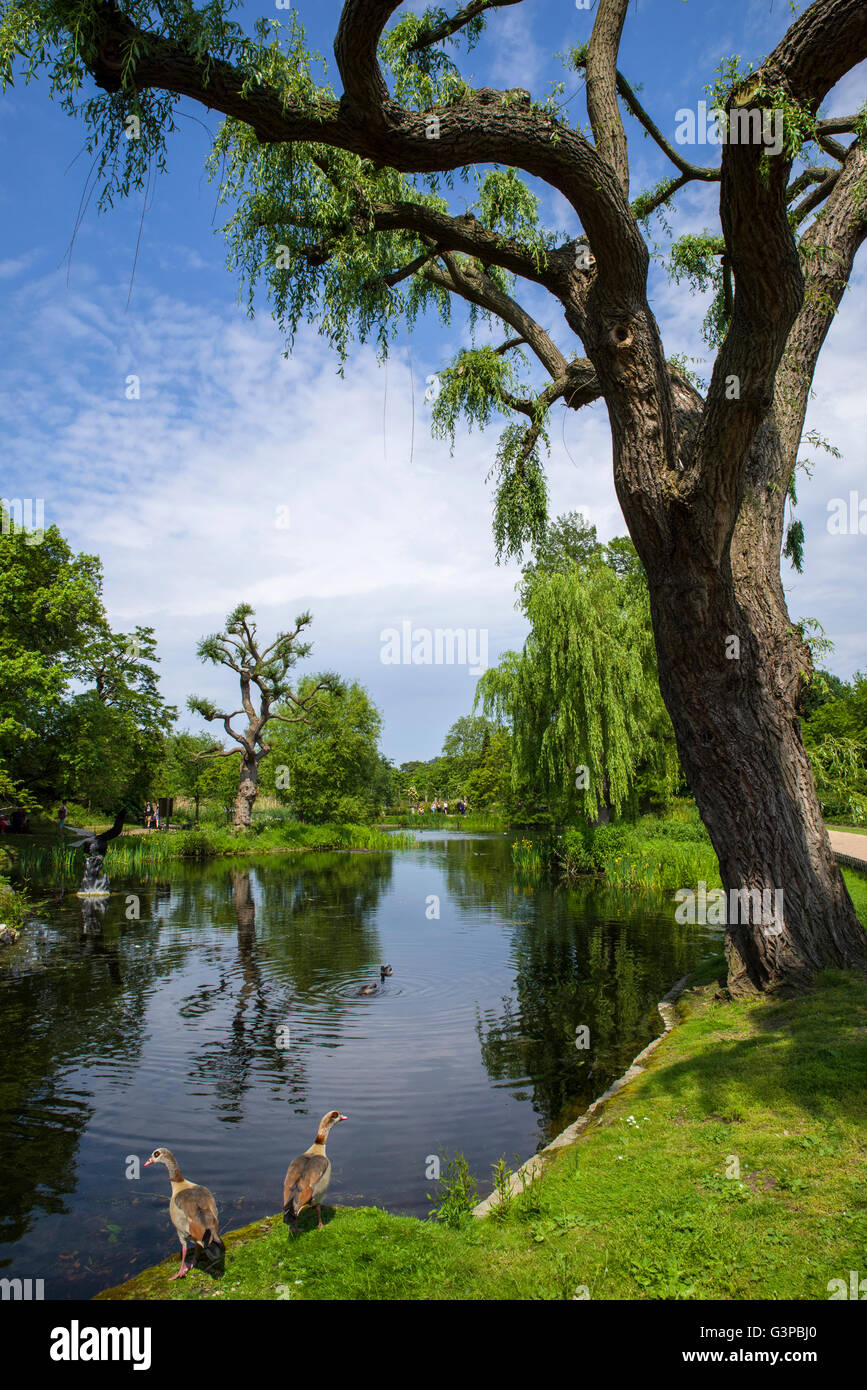 Ein Blick auf das schöne Regents Park in London. Stockfoto