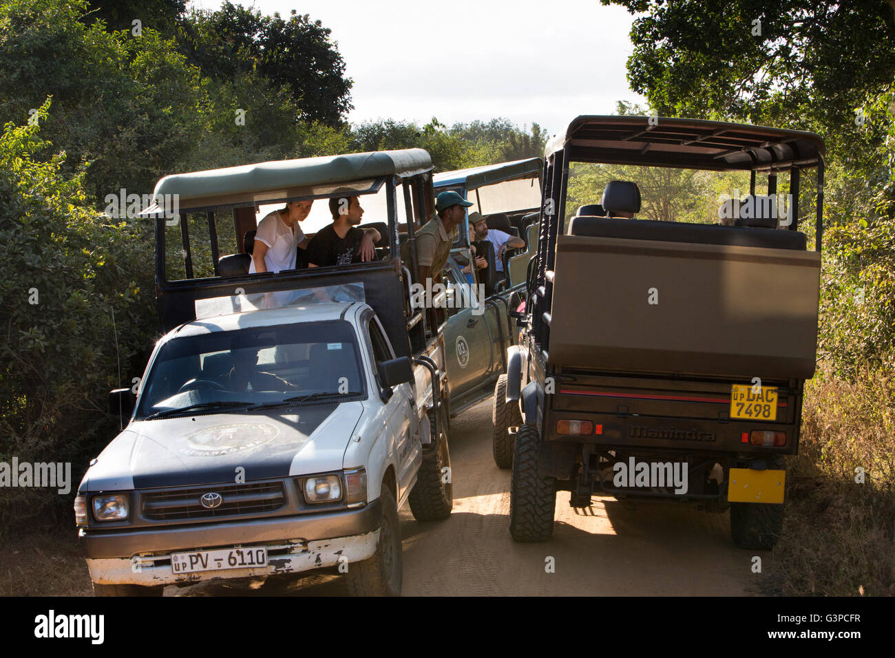 Sri Lanka, Tierwelt, Yala-Nationalpark, Jeep Safari Touristenfahrzeuge drängen sich um Leoparden zu sehen Stockfoto