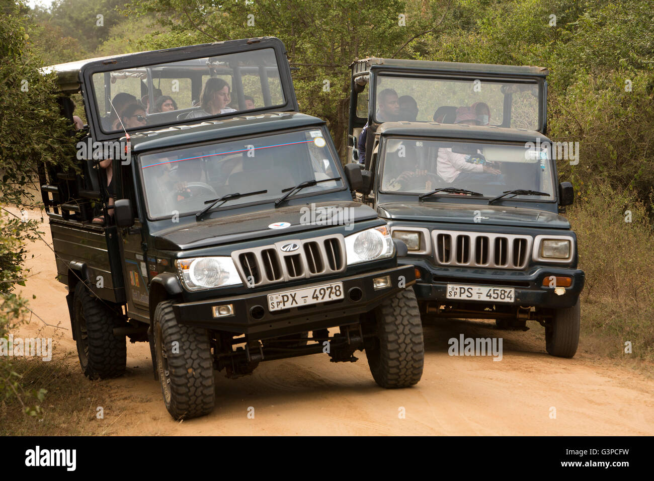 Sri Lanka, Tierwelt, Yala-Nationalpark, Jeep Safari Touristenfahrzeuge drängen sich um Leoparden zu sehen Stockfoto