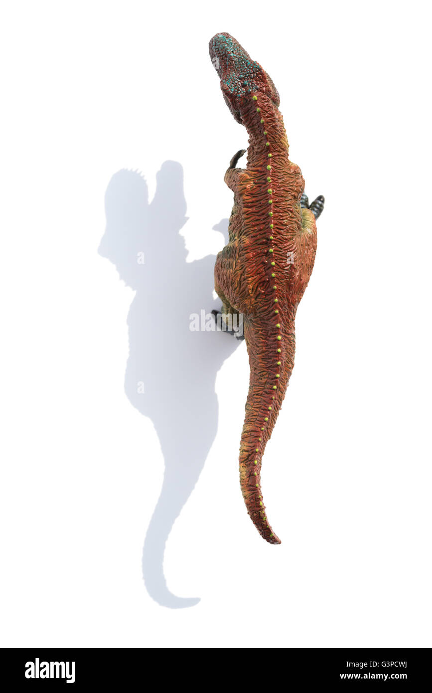 Draufsicht Tyrannosaurus mit Schatten auf weißem Hintergrund Stockfoto