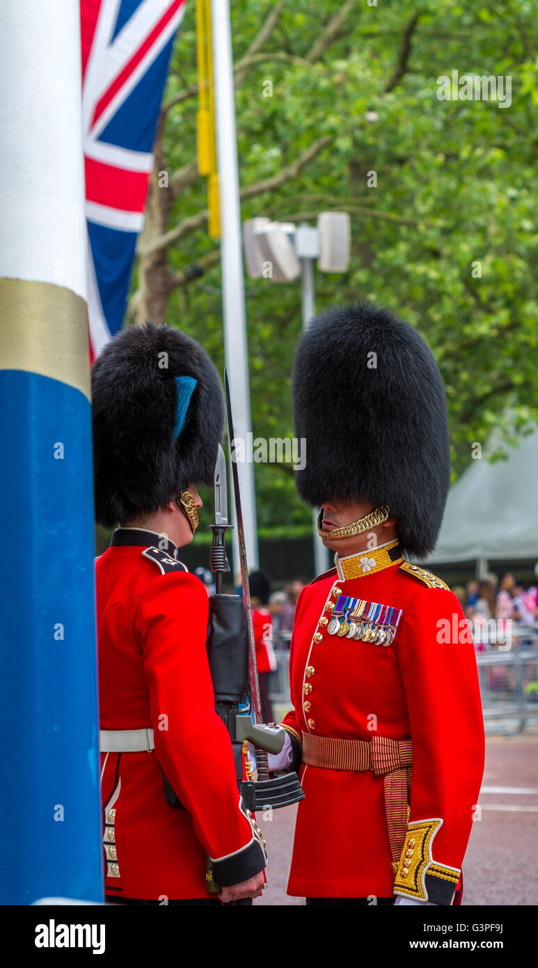Offizier der Irish Guards inspiziert einen Wachmann bei der Queens Birthday Parade 2016, auch bekannt als The Trooping of the Colour, The Mall, London Stockfoto
