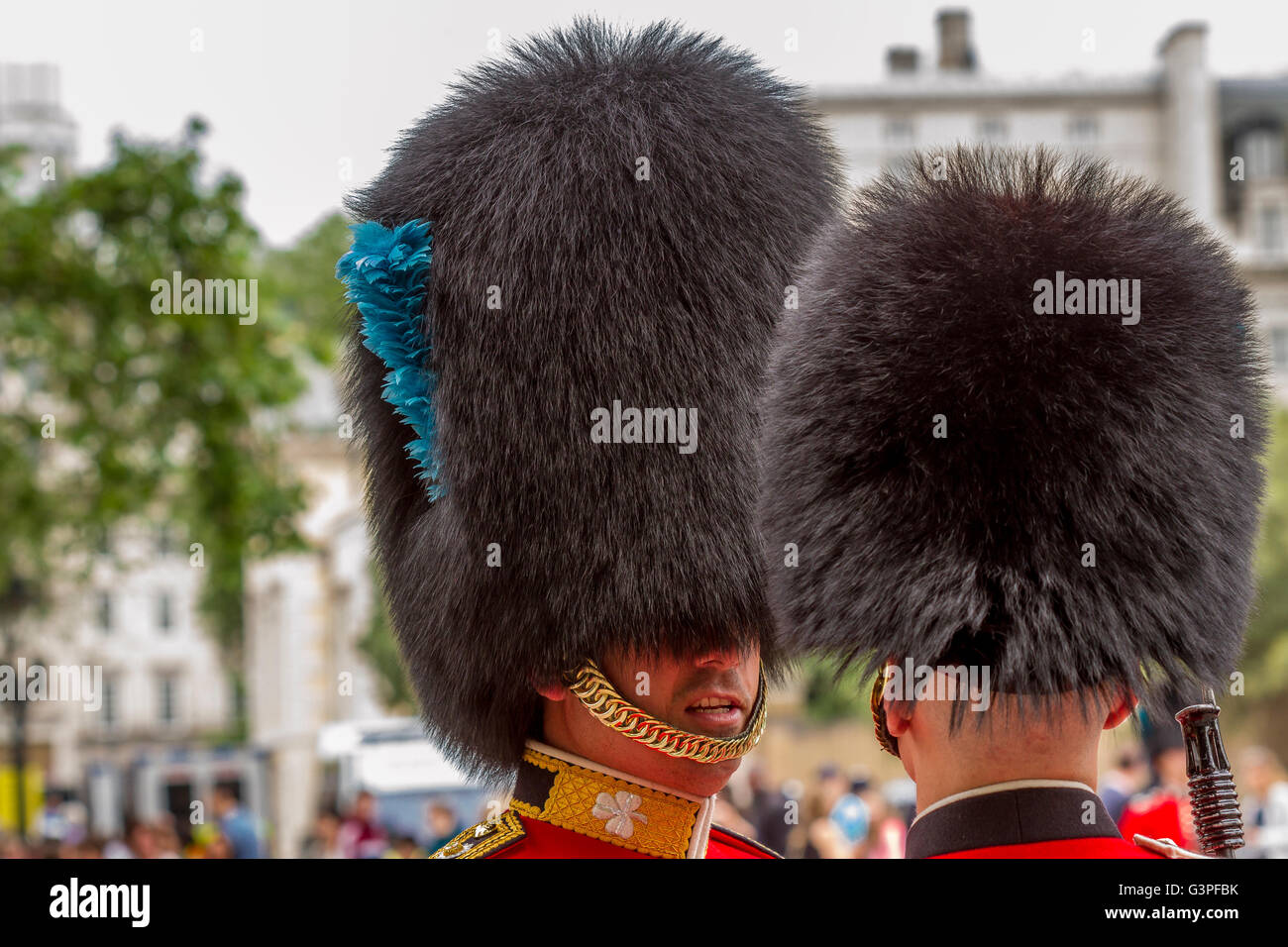 Ein Offizier der irischen Garde inspiziert einen Soldaten bei der Queens Birthday Parade, auch bekannt als The Trooping of the Color, The Mall, London Stockfoto