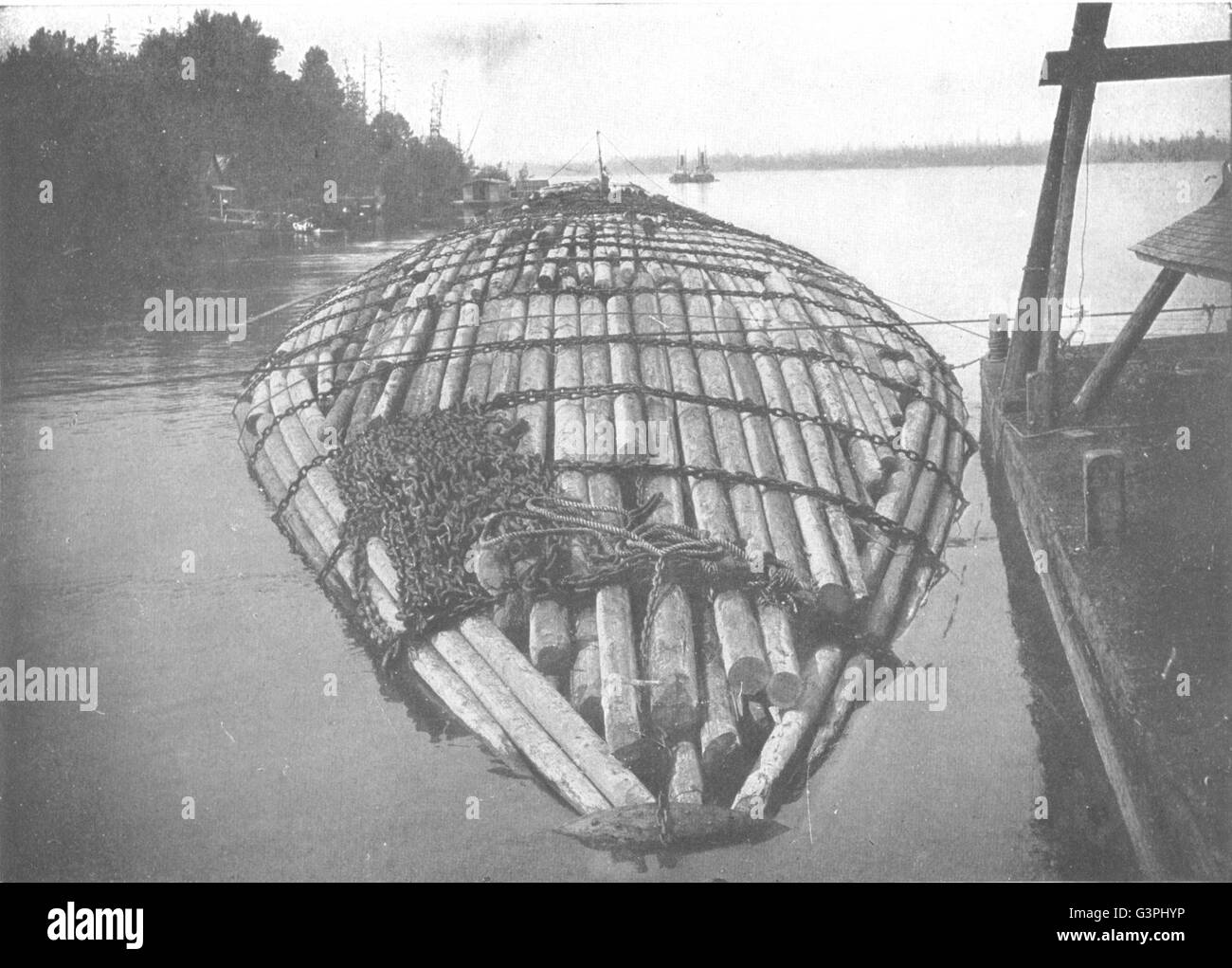 OREGON: Ein Riese Floß, Columbia River, gebunden für San Francisco, alten Drucken 1907 Stockfoto