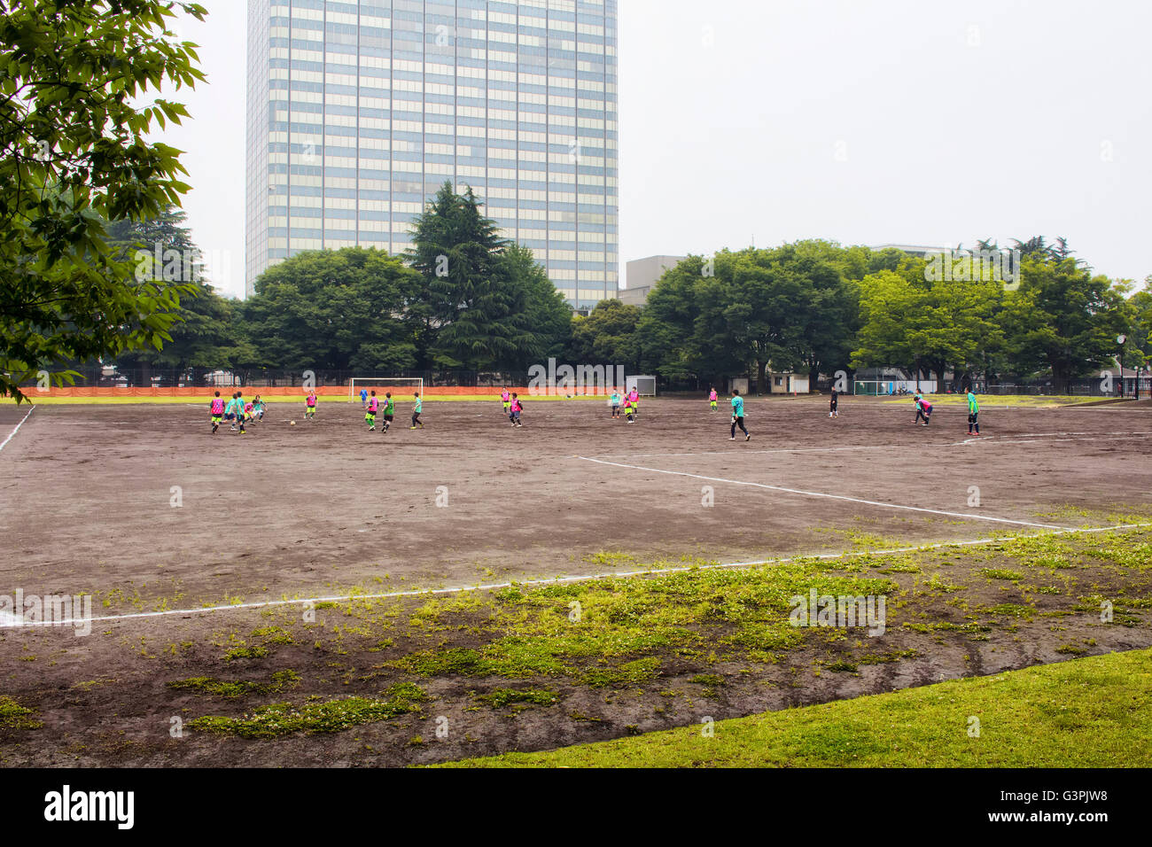 Tokio - Mai 2016: Fußballplatz in Yoyogi Park am 28. Mai 2016 Stockfoto