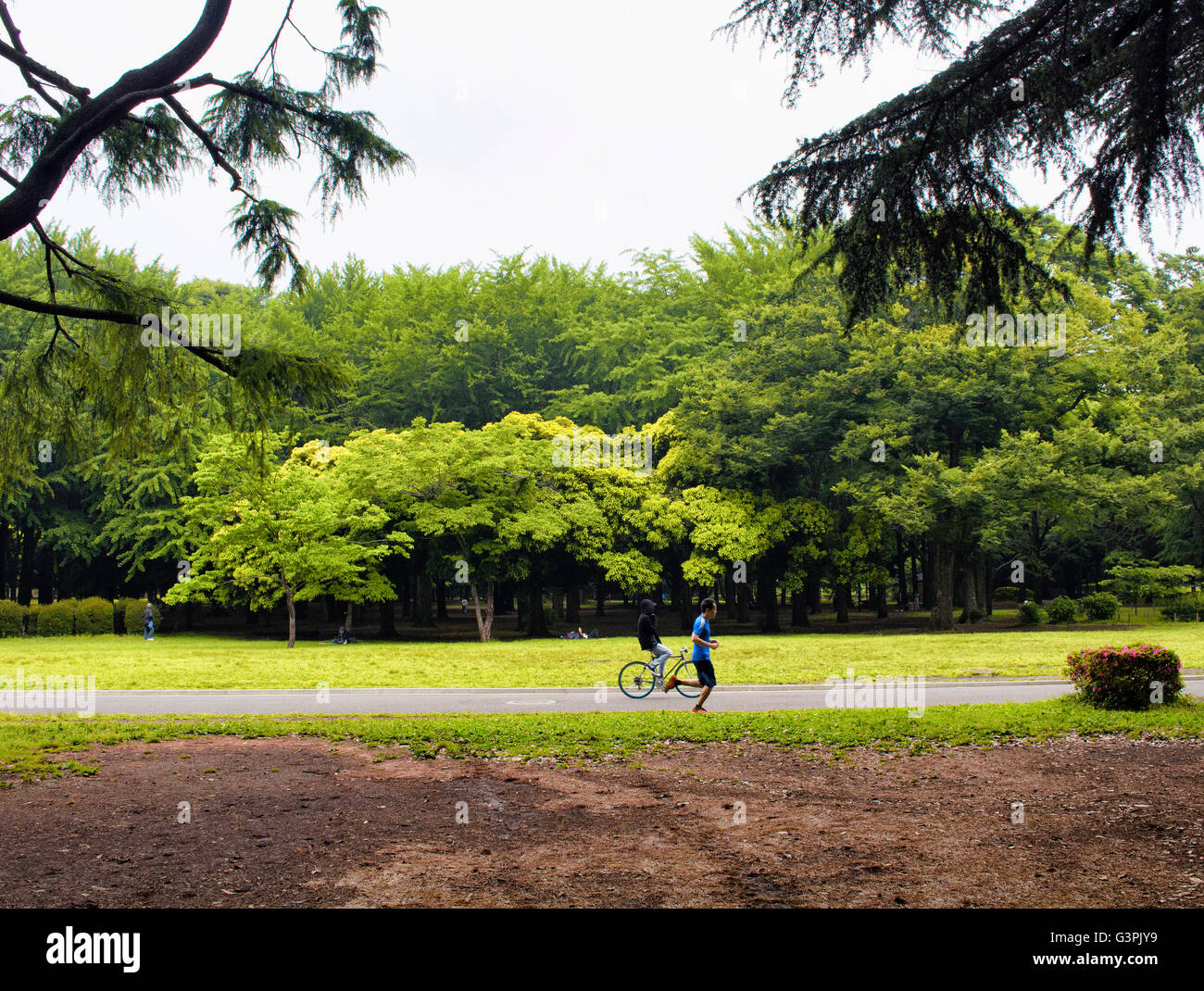 Tokio - Mai 2016: Menschen genießen Sie die Natur im Yoyogi Park am 28. Mai 2016 Stockfoto