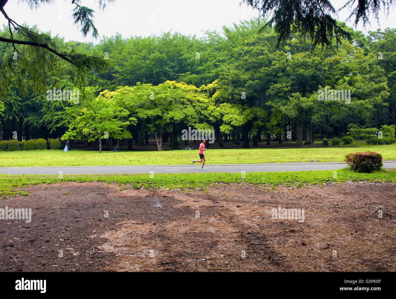 Tokio - Mai 2016: Mann genießen Sie die Natur und laufen im Yoyogi Park am 28. Mai 2016 Stockfoto