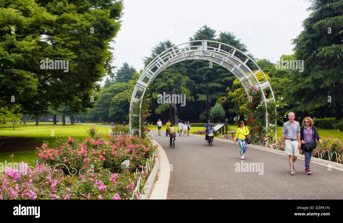 Tokio - Mai 2016: Menschen genießen Sie die Natur im Yoyogi Park am 28. Mai 2016 Stockfoto