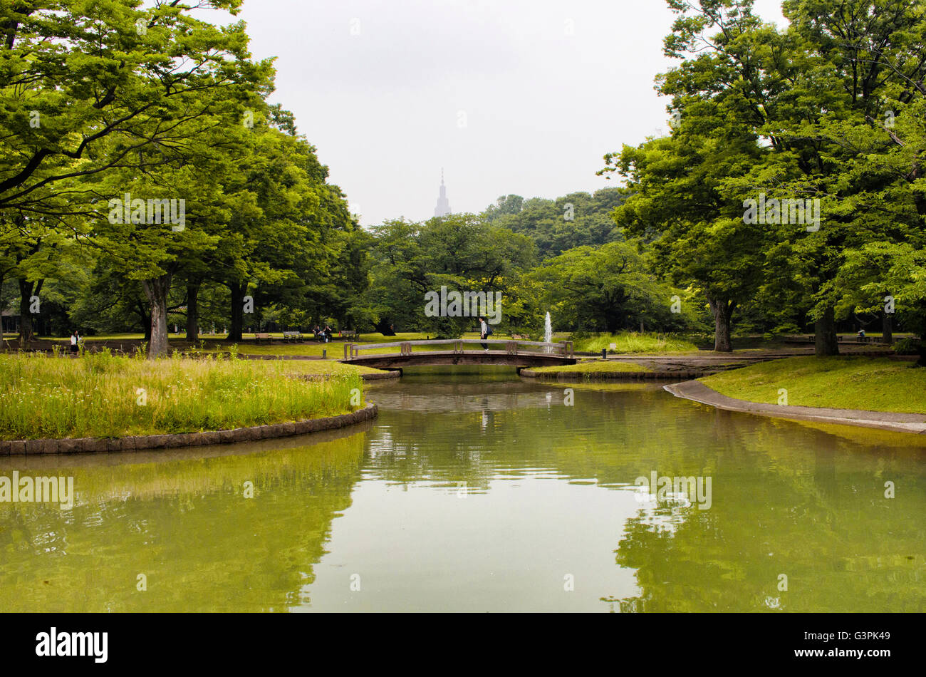 Tokio - Mai 2016: Wasser-Brunnen, See und Wald im Yoyogi Park am 28. Mai 2016 Stockfoto