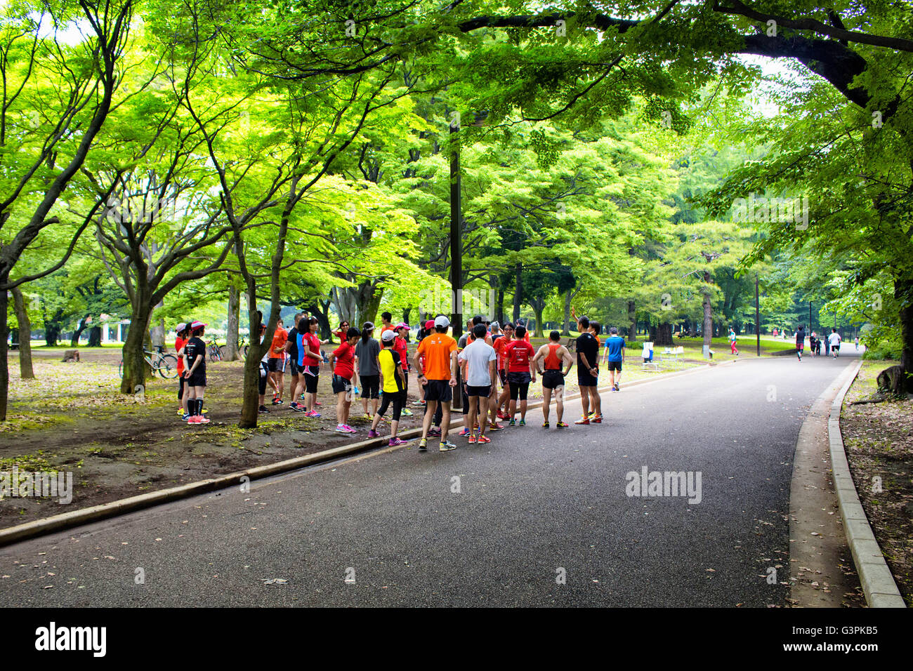 Tokio - Mai 2016: Menschen laufen in der Natur im Yoyogi Park am 28. Mai 2016 Stockfoto