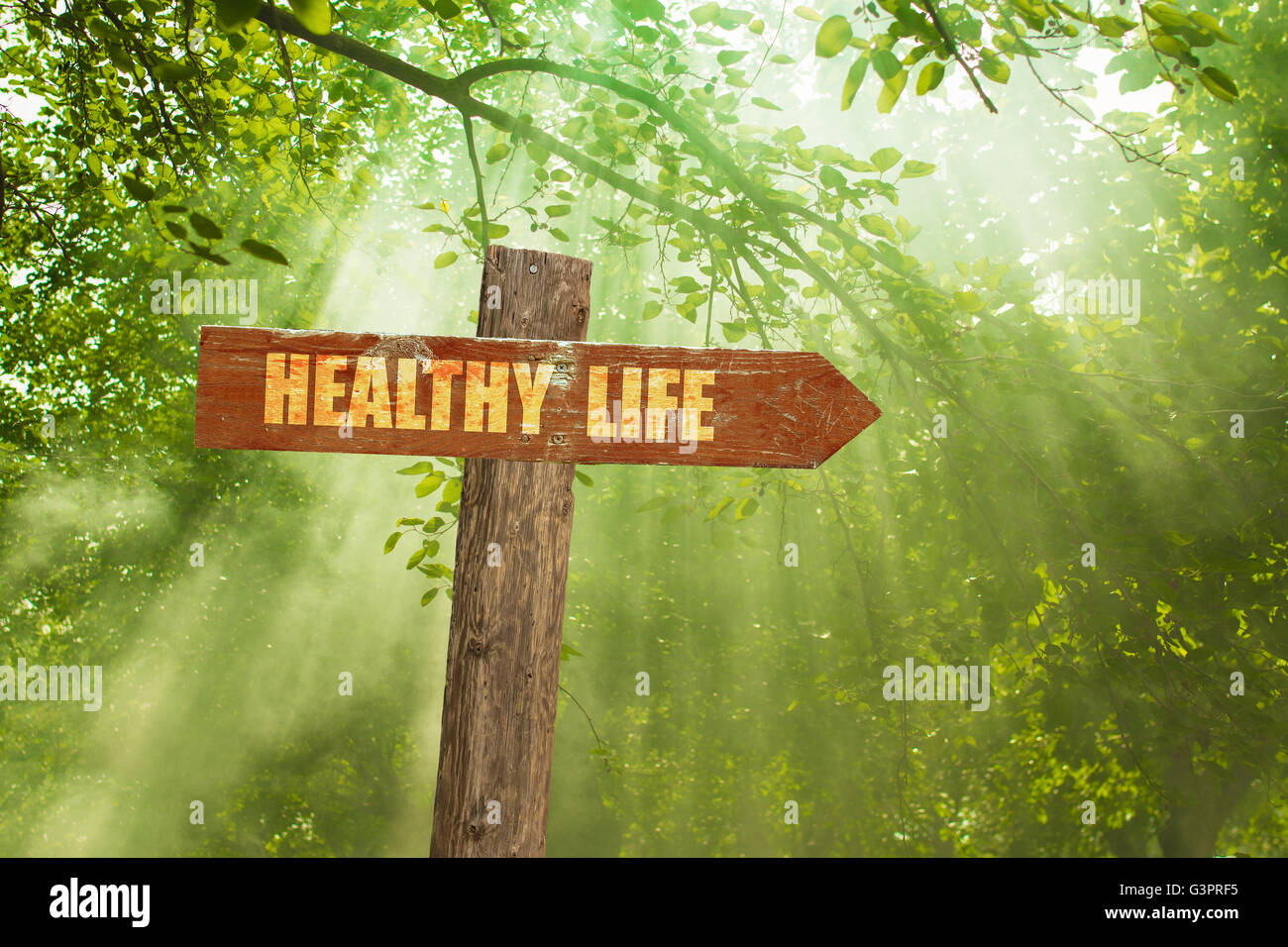 Schild mit gesundes Leben Text auf Green Forest. Stockfoto
