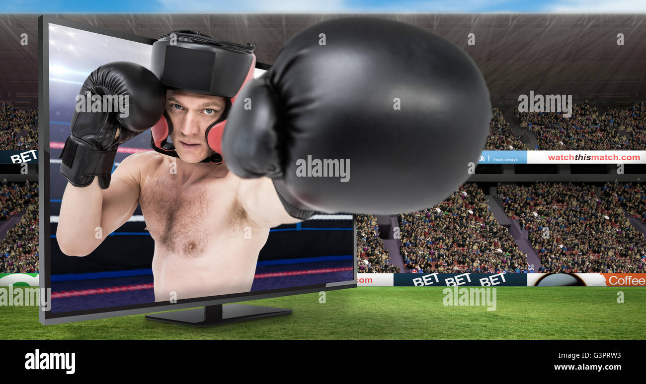 Das zusammengesetzte Bild der Boxer, die aufrechte Haltung Stockfoto