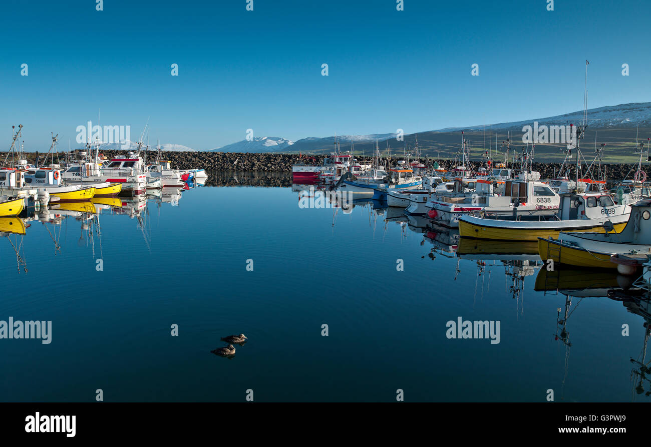 Akureyri Hafen, Eyjafjordur, Akureyri, Island Stockfoto