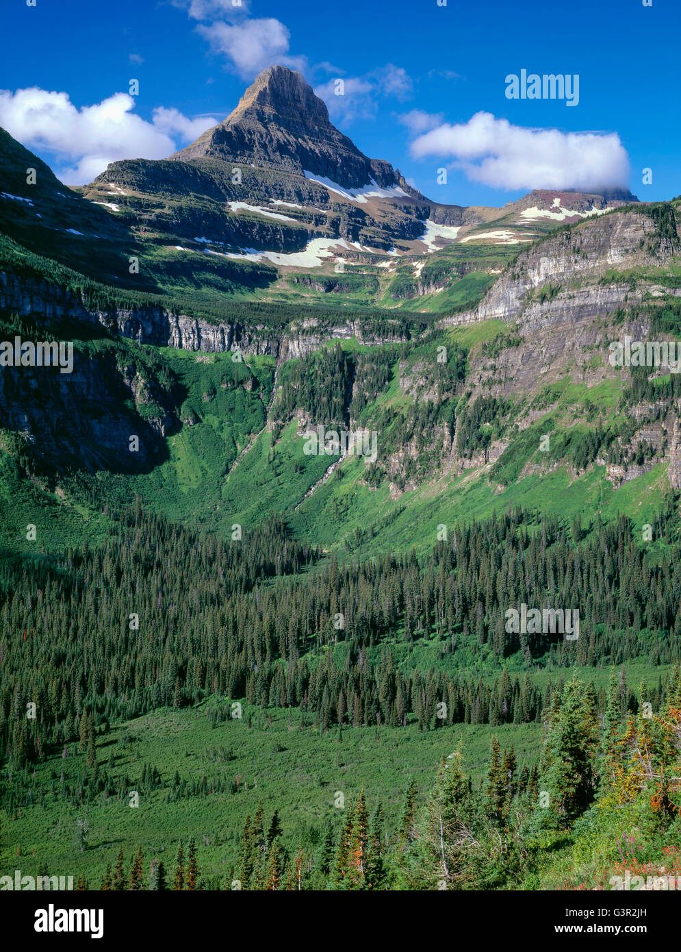 USA, Montana, Glacier National Park, Reynolds Berg Türmen oben geschnitzt Gletschern Tal von Reynolds Creek. Stockfoto