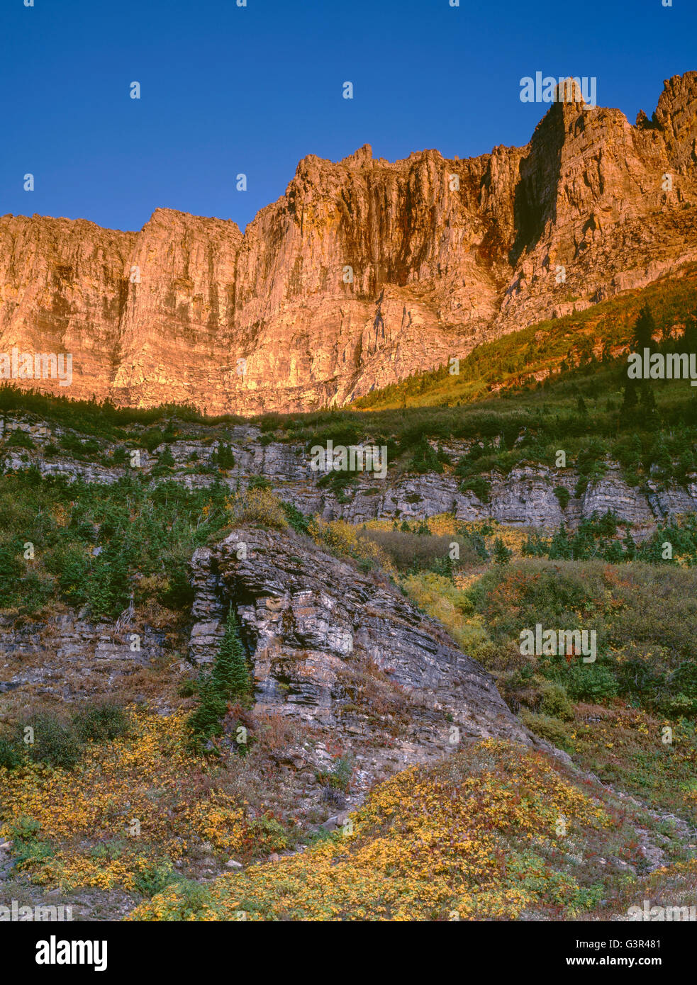 USA, Montana, Glacier National Park, Gipfel der Garden Wall steigen über Herbst farbigen Sträucher und kleine Nadelbäume bei Sonnenuntergang. Stockfoto