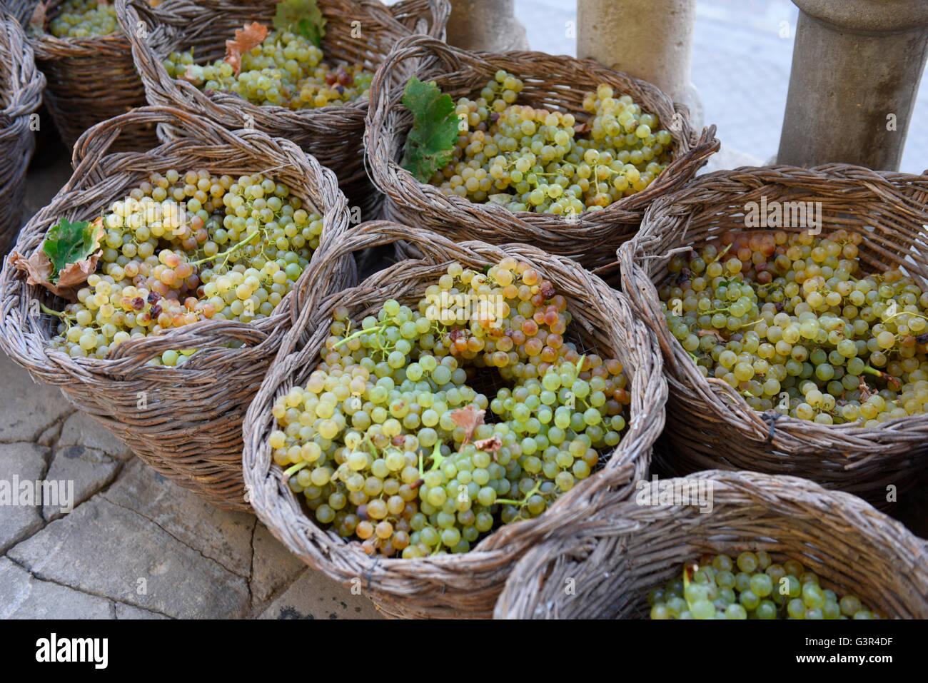 Trauben Sherry Jerez, Andalusien Spanien Weidenkörbe, Weinlese-Weine Stockfoto