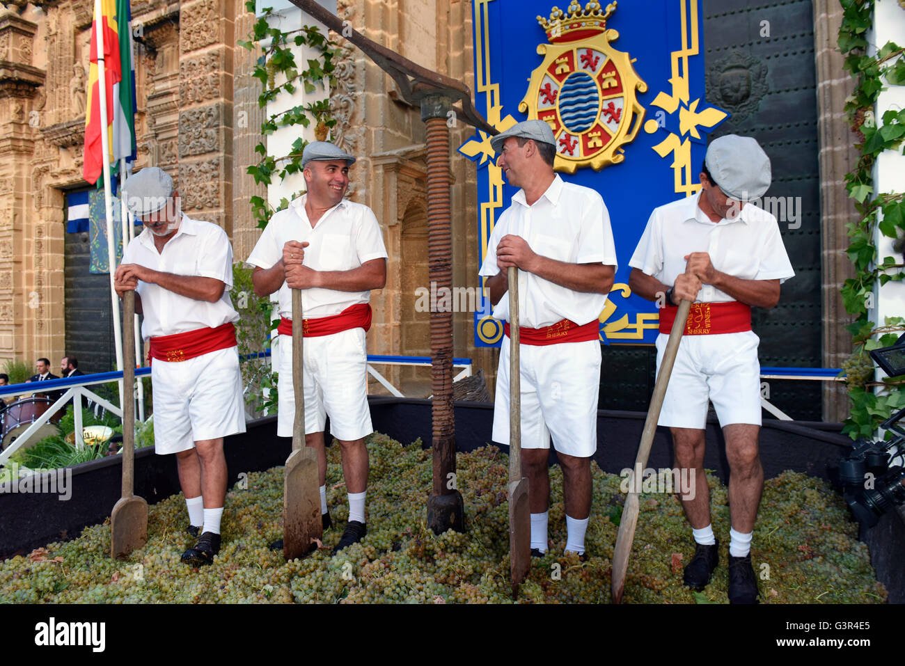 Sherry Harvest in Jerez, treten die Trauben "Fiesta De La Vendimia" Jerez De La Frontera jedes Jahr im September Spanien Stockfoto