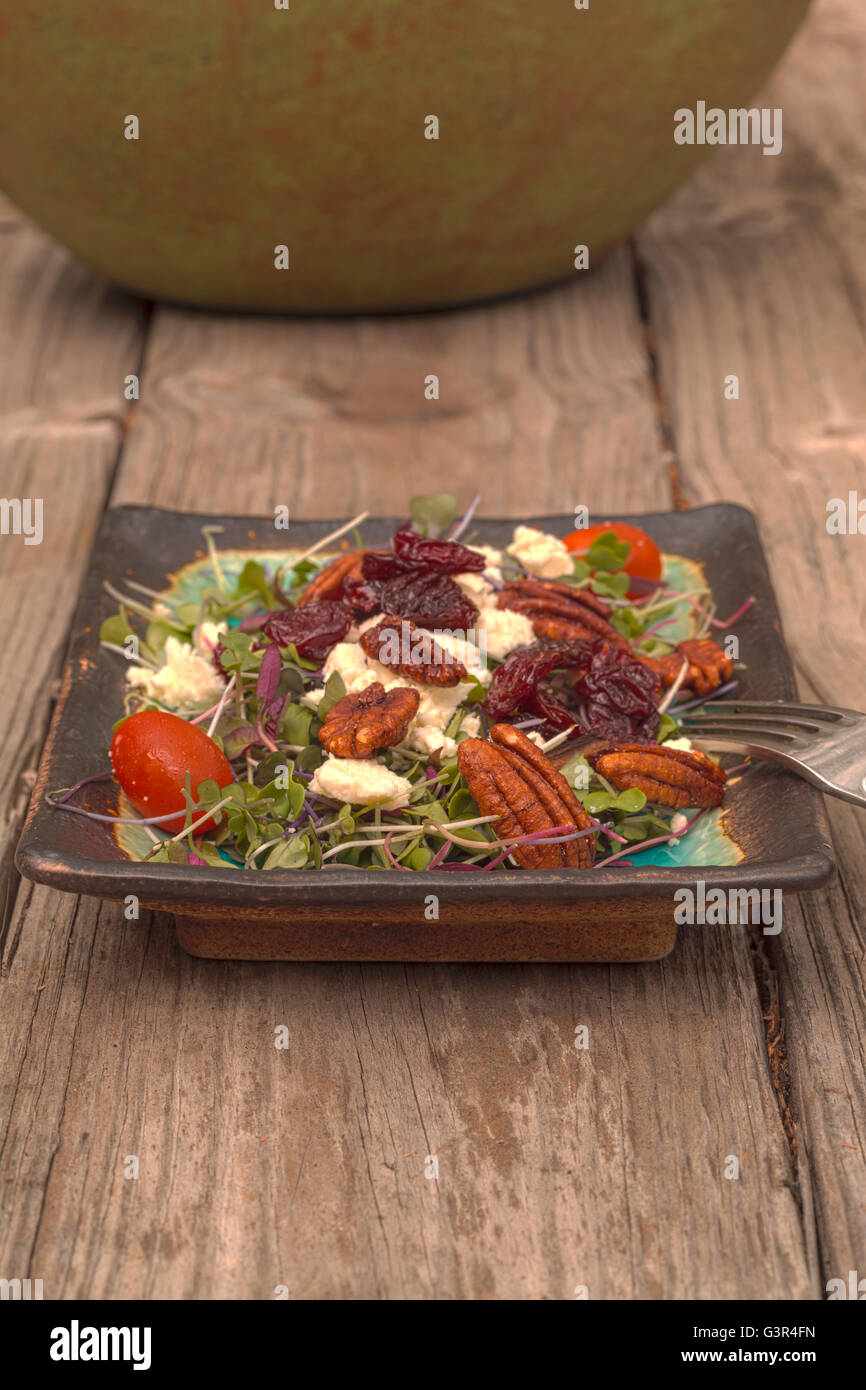 Sommersalat mit Mikro Grüns, Feta-Käse, Tomaten, getrocknete Kirschen,  Pekannüsse und Koriander-Salat-Dressing auf einem rustikalen Holz Bild  Stockfotografie - Alamy