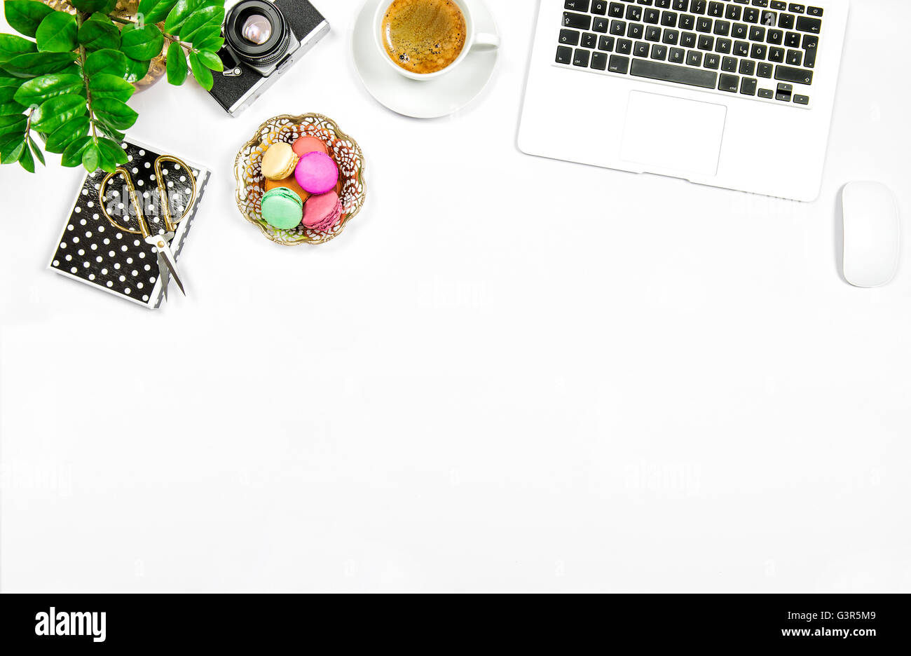 Kreative feminine home-Office-Arbeitsplatz. Kaffee, Kekse Makronen, Laptop-Computer und Grünpflanze auf weißen Tabellenhintergrund Stockfoto