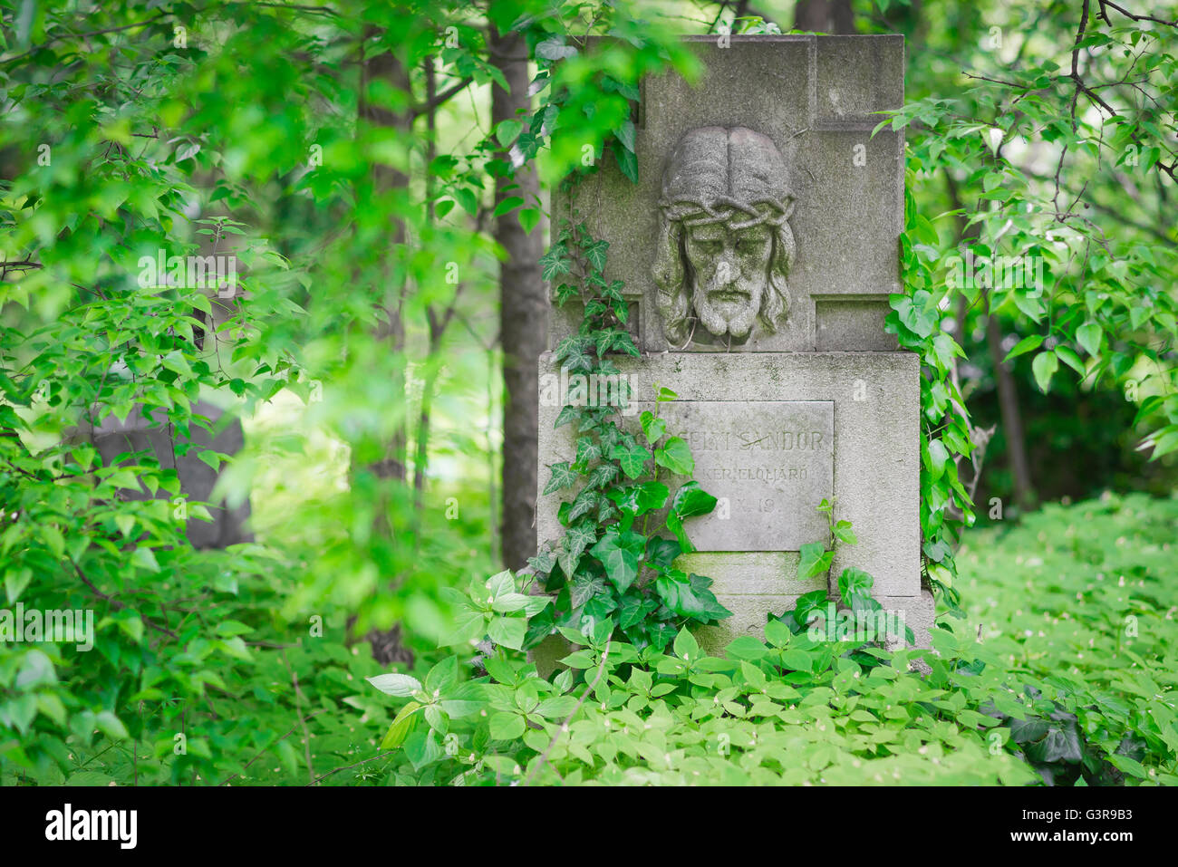 Friedhofsdenkmal Sommer, Blick auf einen großen Grabstein auf dem Kerepesi-Friedhof im Jozsefvaros-Viertel von Budapest, der von Efeu bewachsen ist. Stockfoto