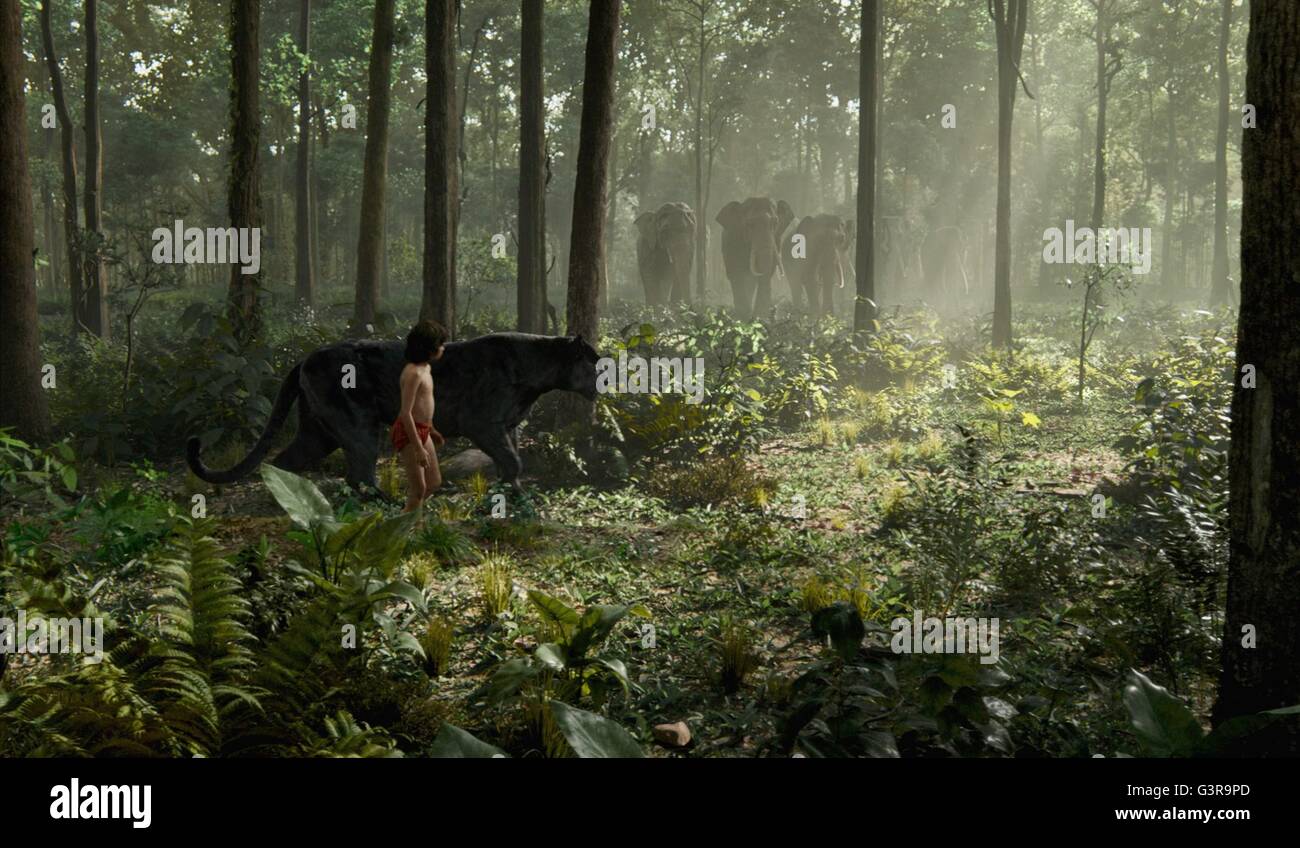 Das Dschungel-Buch-Jahr: 2016-USA Regie: Jon Favreau Neel Sethi Stockfoto