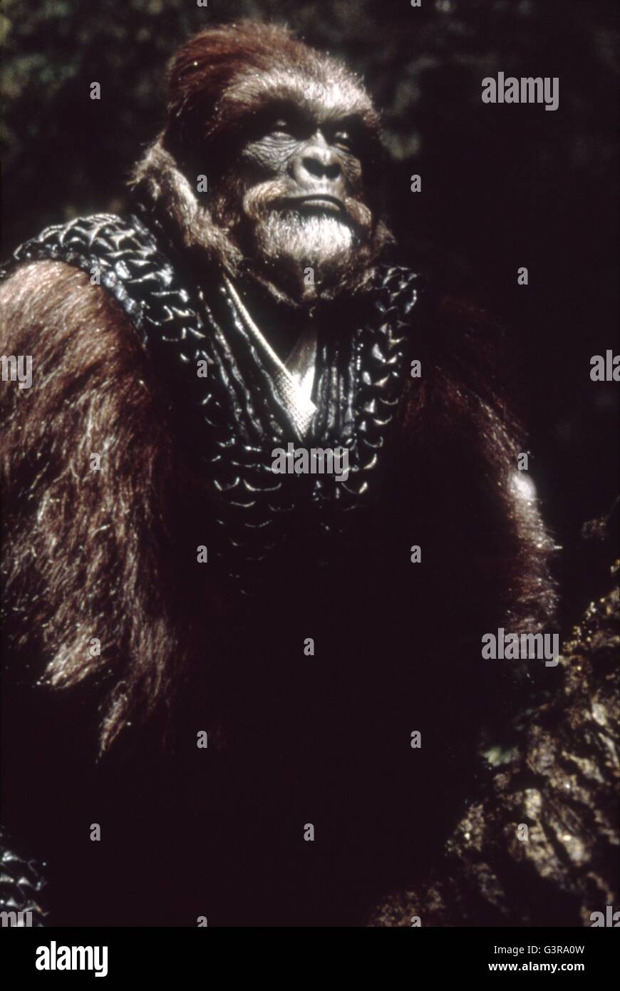 Planet der Affen-Jahr: 2001 - USA Regie: Tim Burton Stockfoto