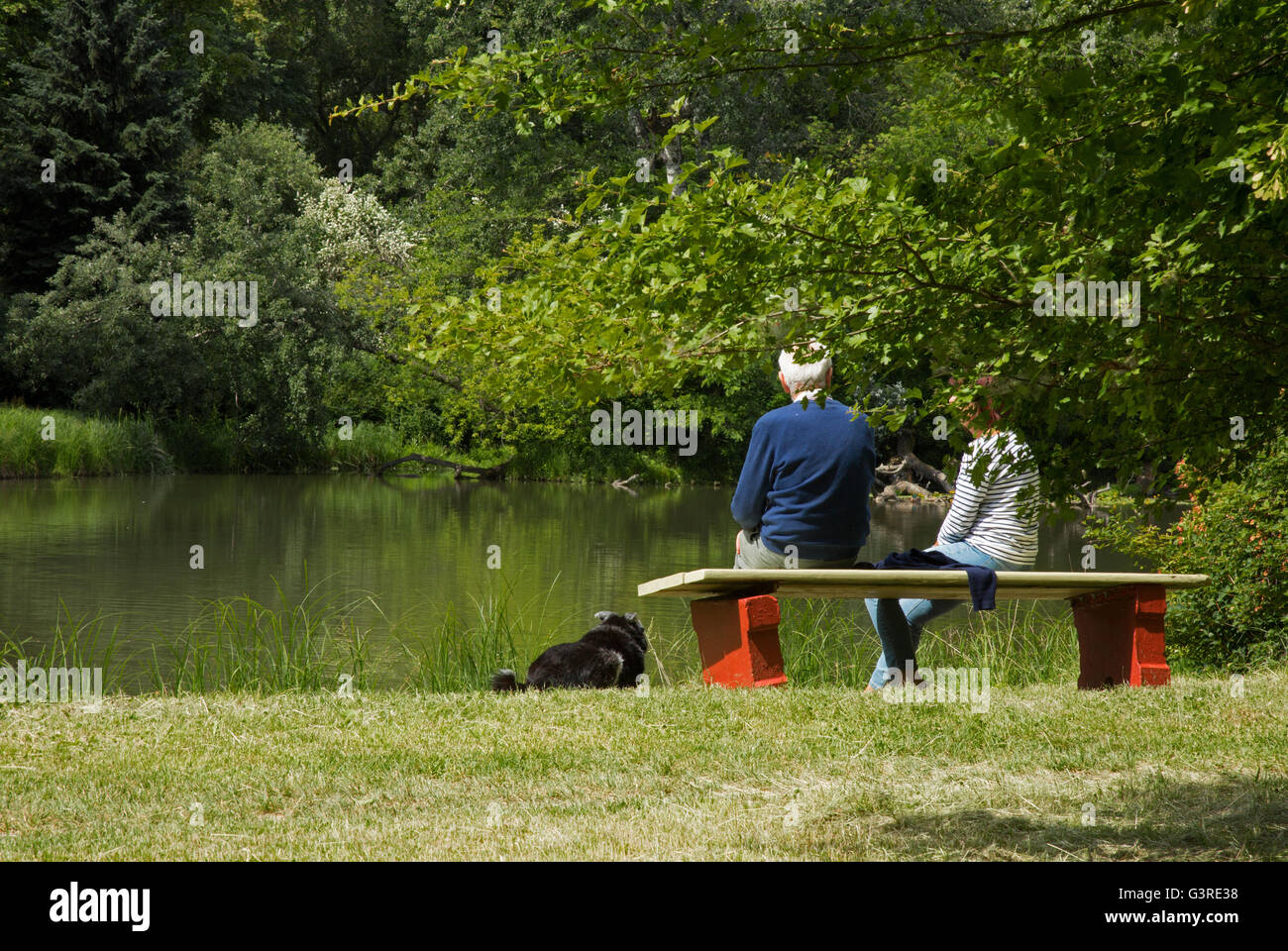 Ein paar ältere Menschen mit einem Hund ruht auf einer Bank am Teich in einem Park in Warschau, ein schöner sonniger Tag im Juni. Editorial. Horizont Stockfoto