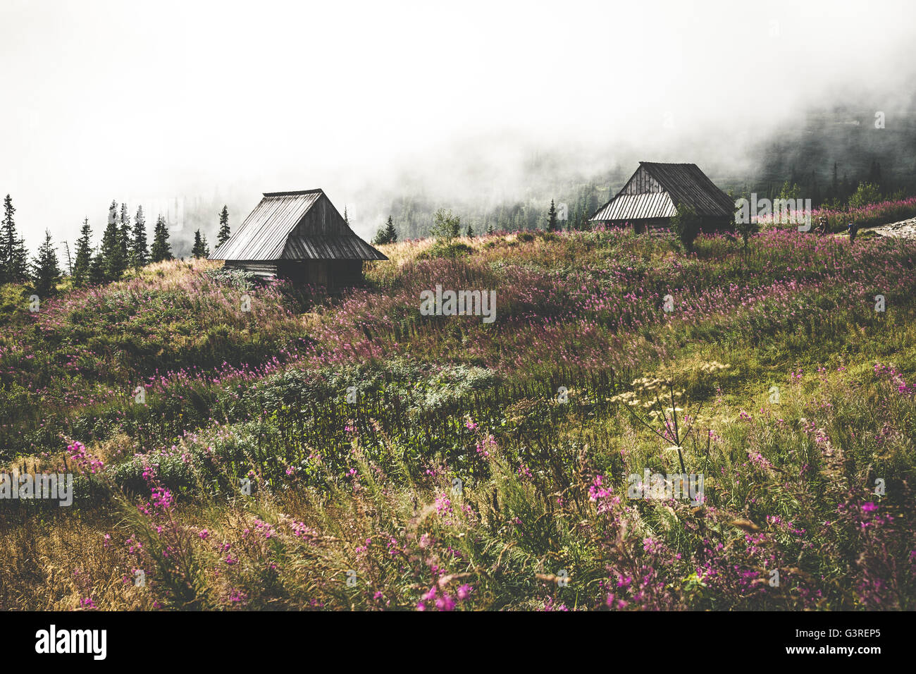 Alte Hütten in Tatra Mountains Nationalpark, Polen Stockfoto