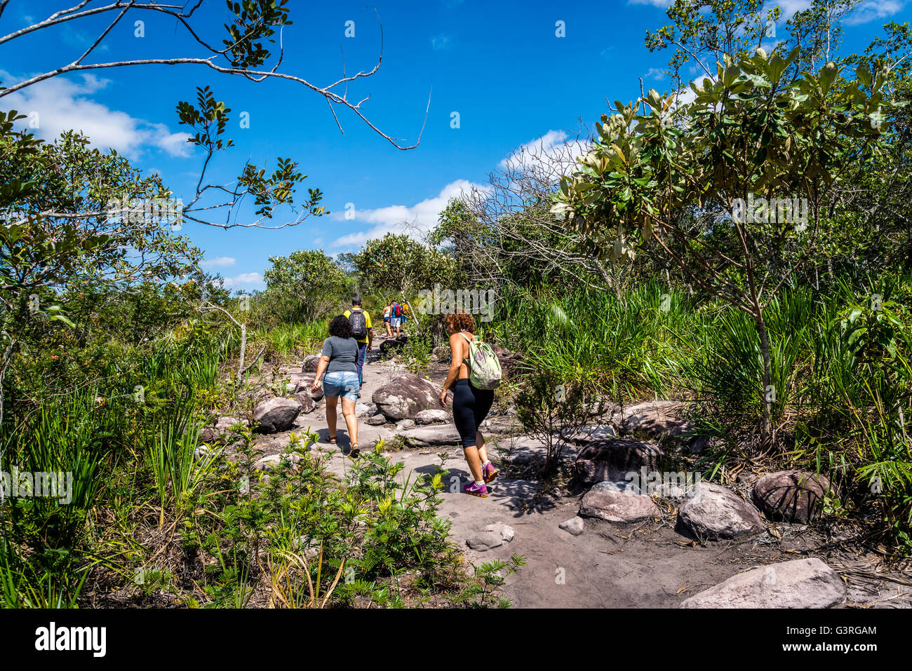 Wandern im Cerrado Landschaft, Chapada Diamantina, Bahia, Brasilien Stockfoto