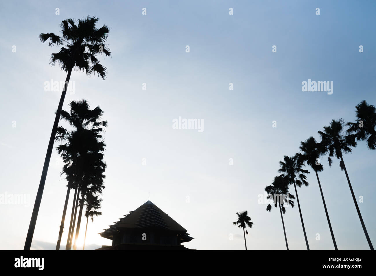 Silhouette der Moschee und Palmen am blauen Himmel Stockfoto