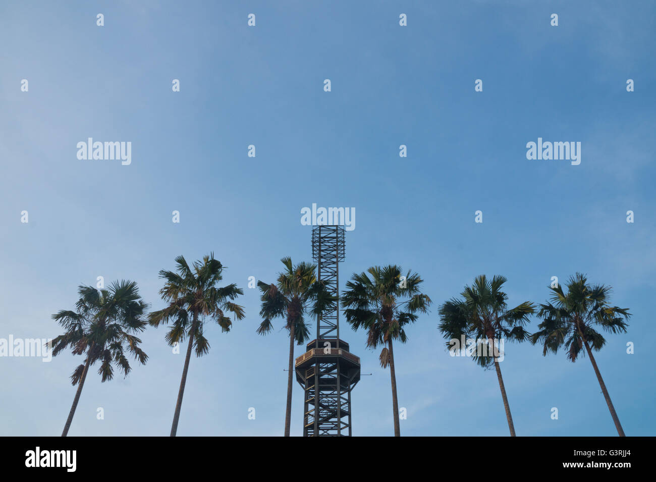 Turm und natürliche Palme mit der Niederlassung und Blätter vor blauem Himmel Stockfoto