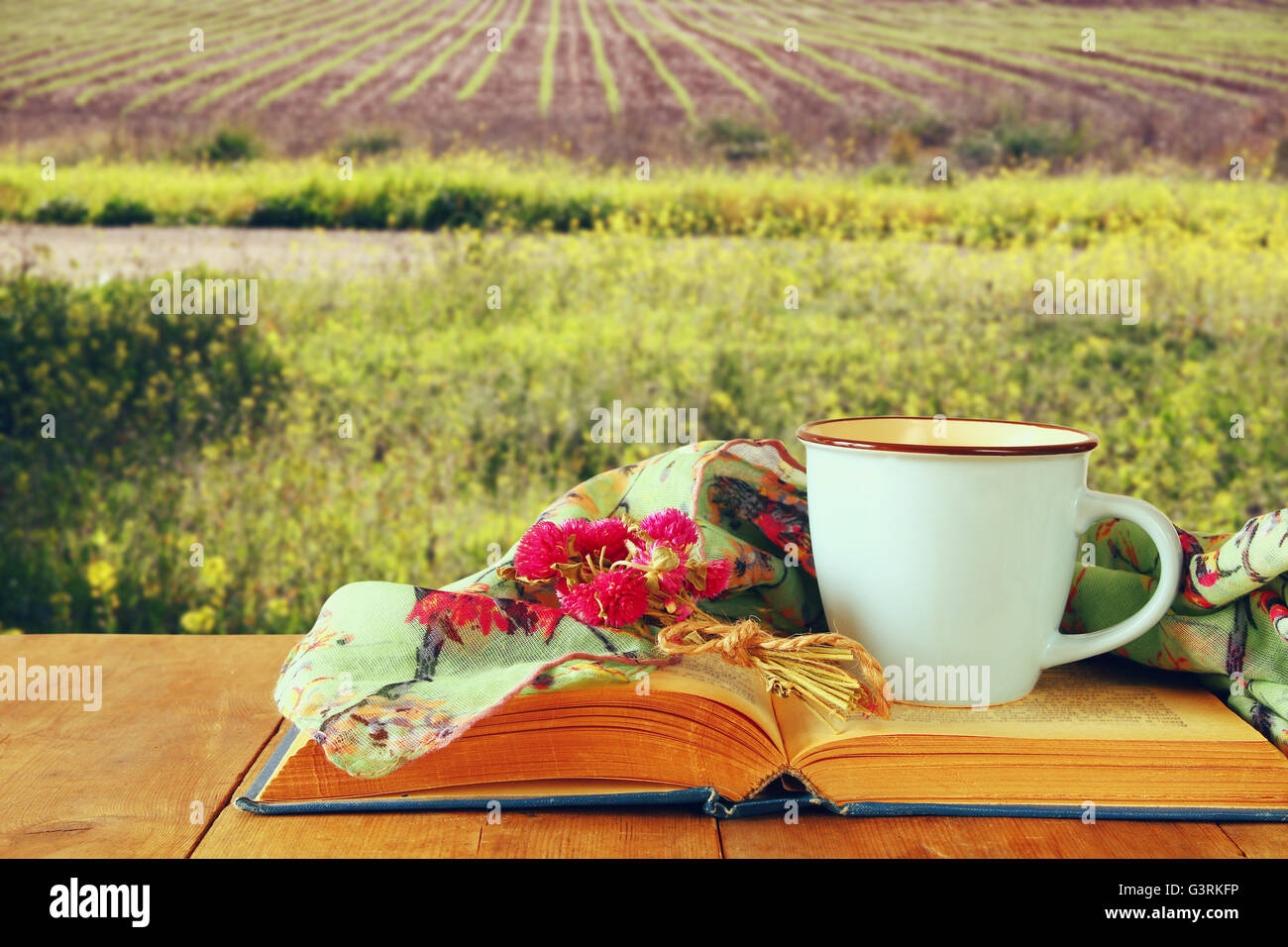 Fashion Schal mit Kaffee und alte Buch auf einem Holztisch vor Sommerlandschaft Feld. Jahrgang gefiltert Stockfoto