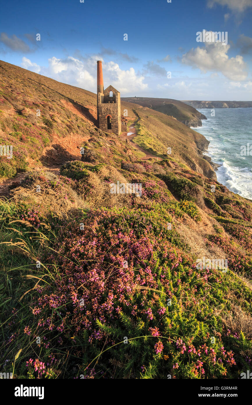 Towanroath Pumpen Maschinenhaus bei Wheal Coates in der Nähe von St. Agnes an der Nordküste von Cornwall. Stockfoto