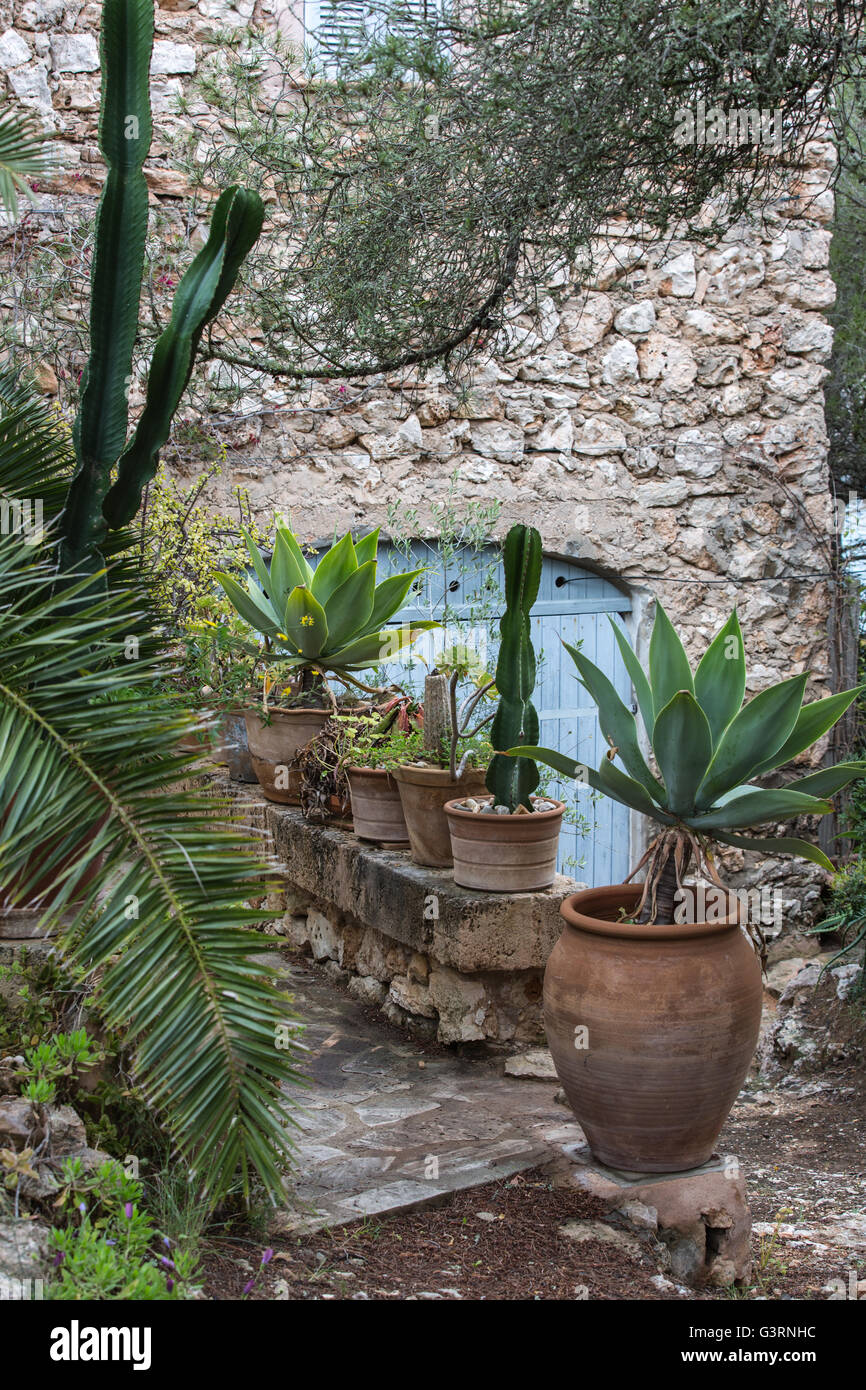 Garten eines Hauses im in der Nähe von Calo De Sa Torre Stockfoto