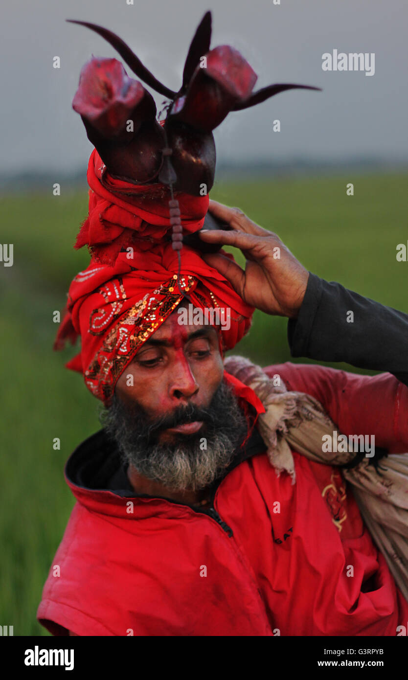 Eine Treue in Orakandi, Gopalgoj, Bangladesch. Stockfoto