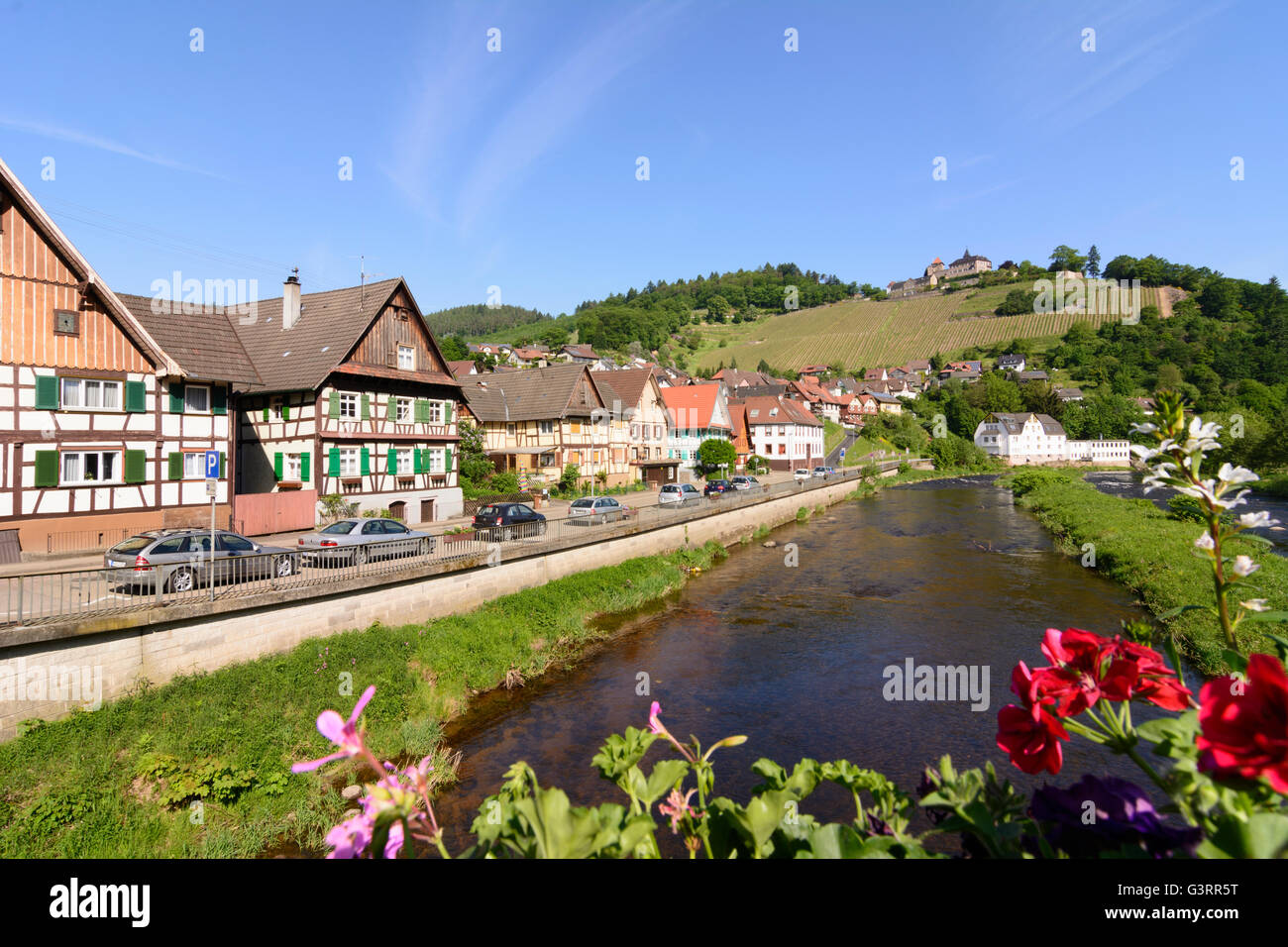 Murg Fluss, Schloss Eberstein, Weinberge, Deutschland, Baden-Württemberg, Schwarzwald, Schwarzwald, Gernsbach Stockfoto
