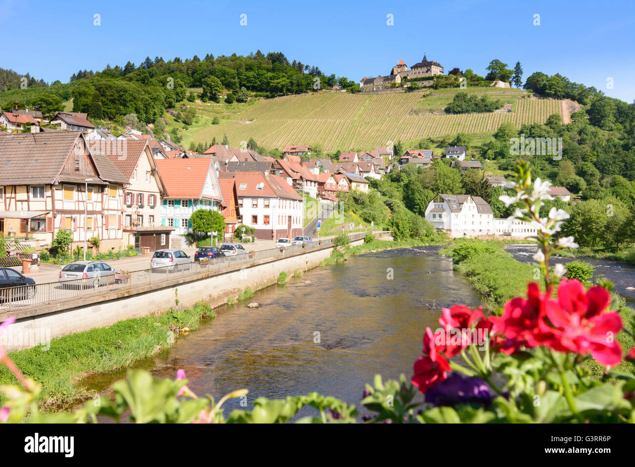 Murg Fluss, Schloss Eberstein, Weinberge, Deutschland, Baden-Württemberg, Schwarzwald, Schwarzwald, Gernsbach Stockfoto