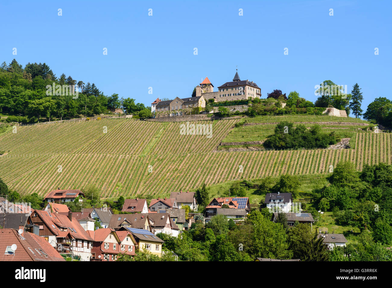 Schloss Eberstein, Weinberge, Deutschland, Baden-Württemberg, Schwarzwald, Schwarzwald, Gernsbach Stockfoto