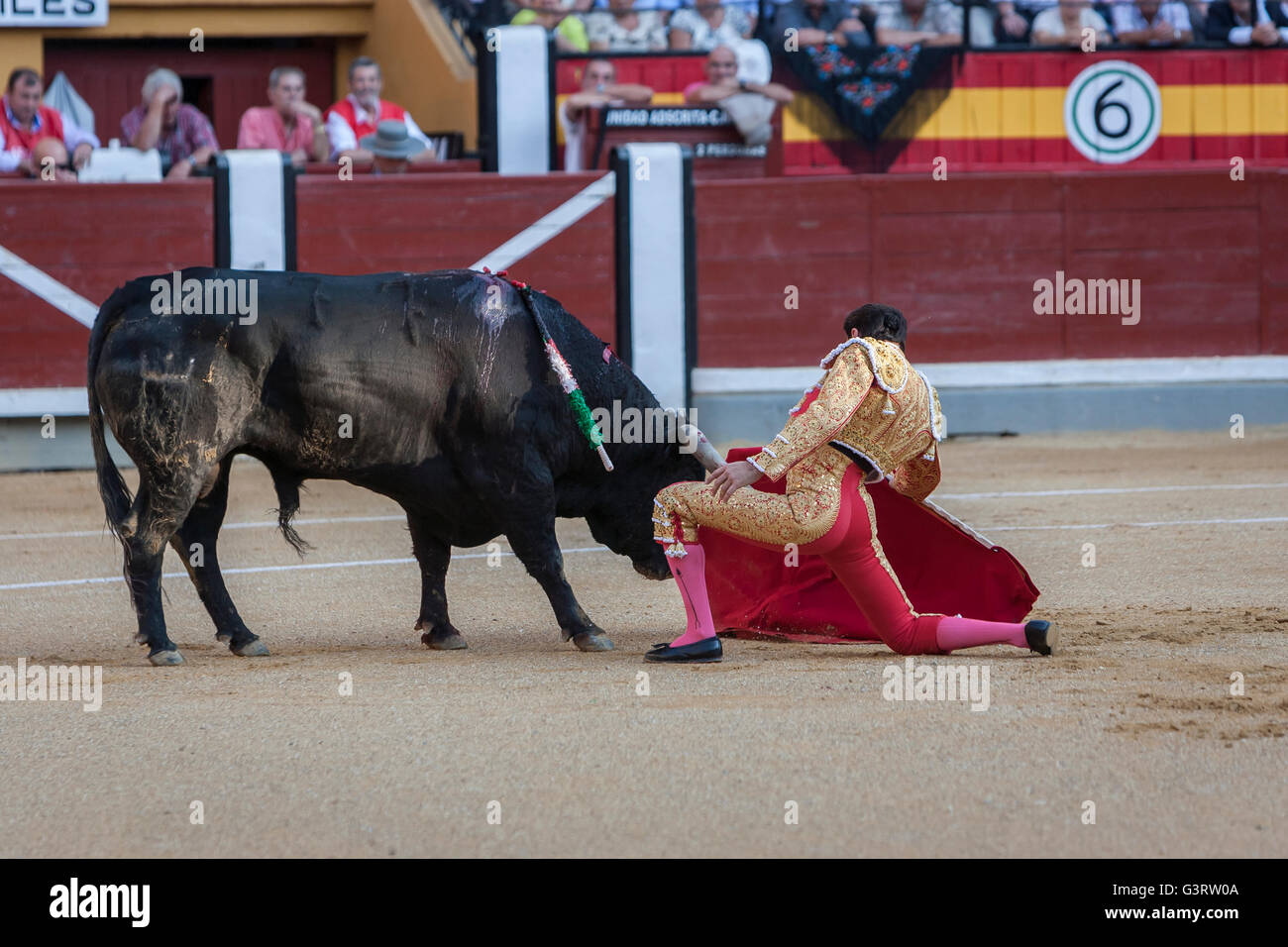 Der spanische Stierkämpfer Enrique Ponce Stierkampf mit der Krücke in der Stierkampfarena von Jaen, Spanien Stockfoto