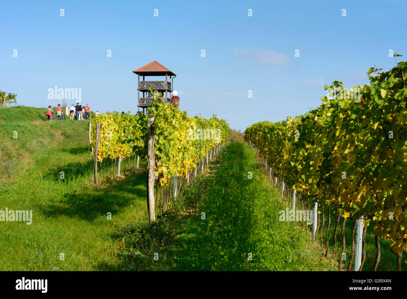 Wachturm Engabrunn und Weinberge, Österreich, Niederösterreich, Niederösterreich, Waldviertel, Grafenegg Stockfoto