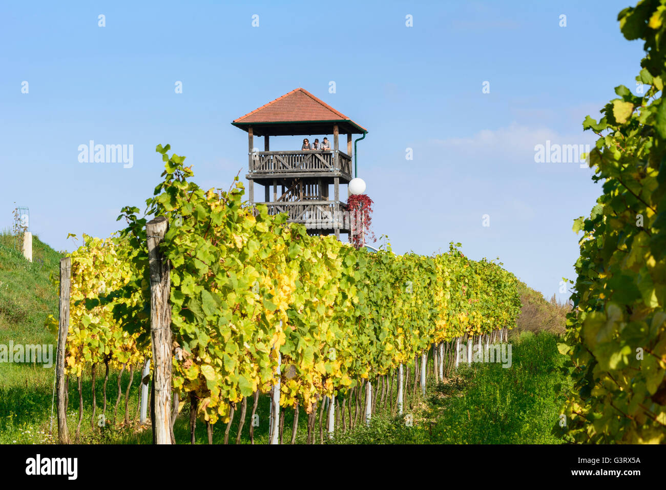 Wachturm Engabrunn und Weinberge, Österreich, Niederösterreich, Niederösterreich, Waldviertel, Grafenegg Stockfoto