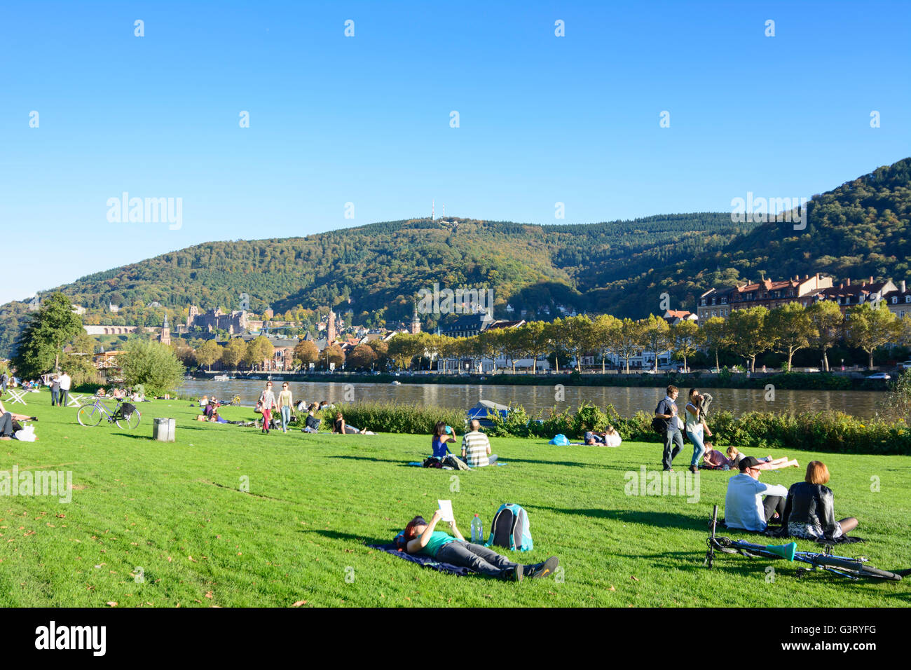 Fluss Neckar, Sonnenanbeter auf dem Neckar Wiesen und mit Blick auf die Altstadt mit dem Schloss und Berg Königstuhl, Deutschland, B Stockfoto