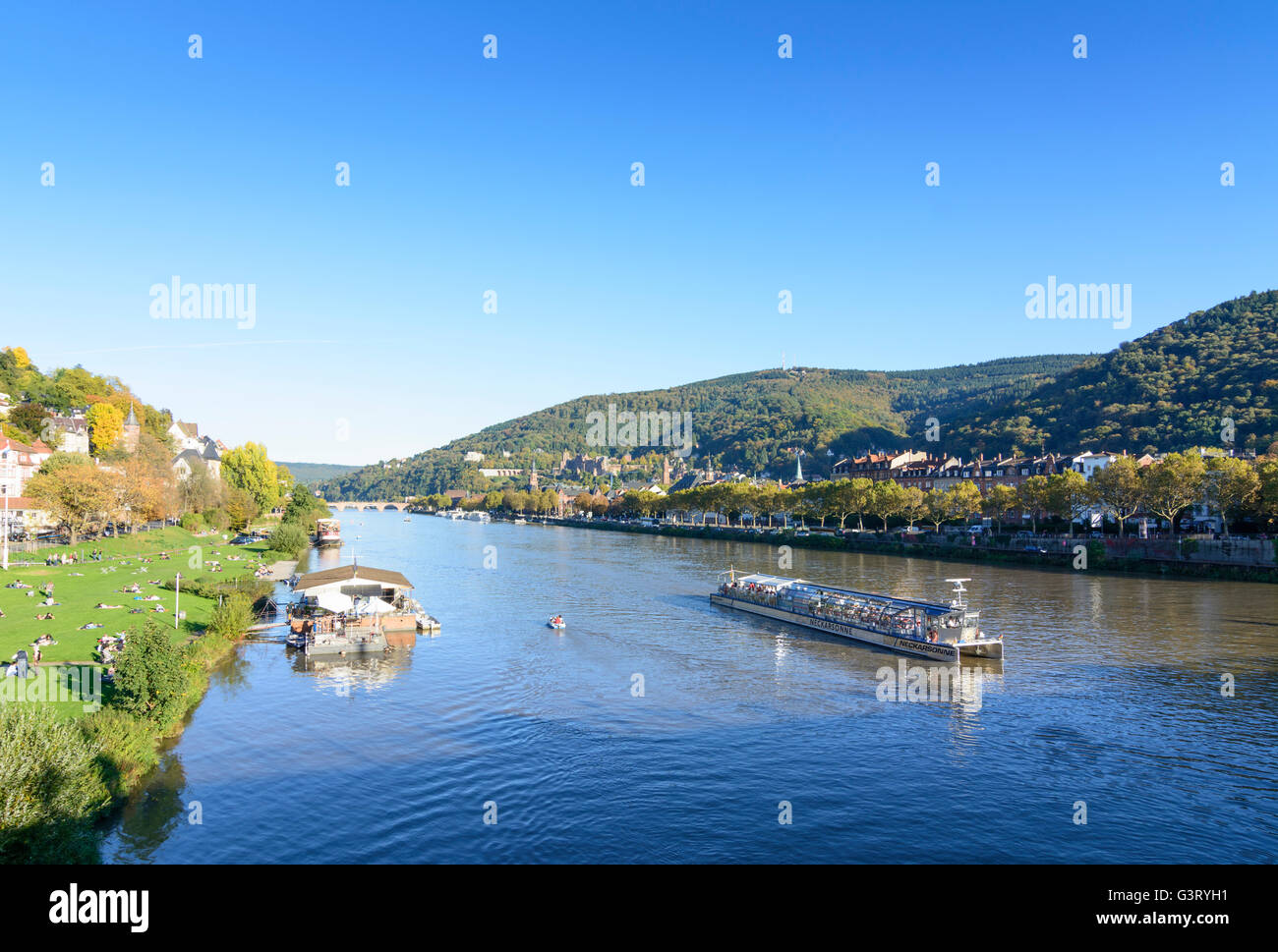 Fluss Neckar, Sonnenanbeter auf dem Neckar Wiesen und mit Blick auf die Altstadt mit dem Schloss und Berg Königstuhl mit Solar Stockfoto